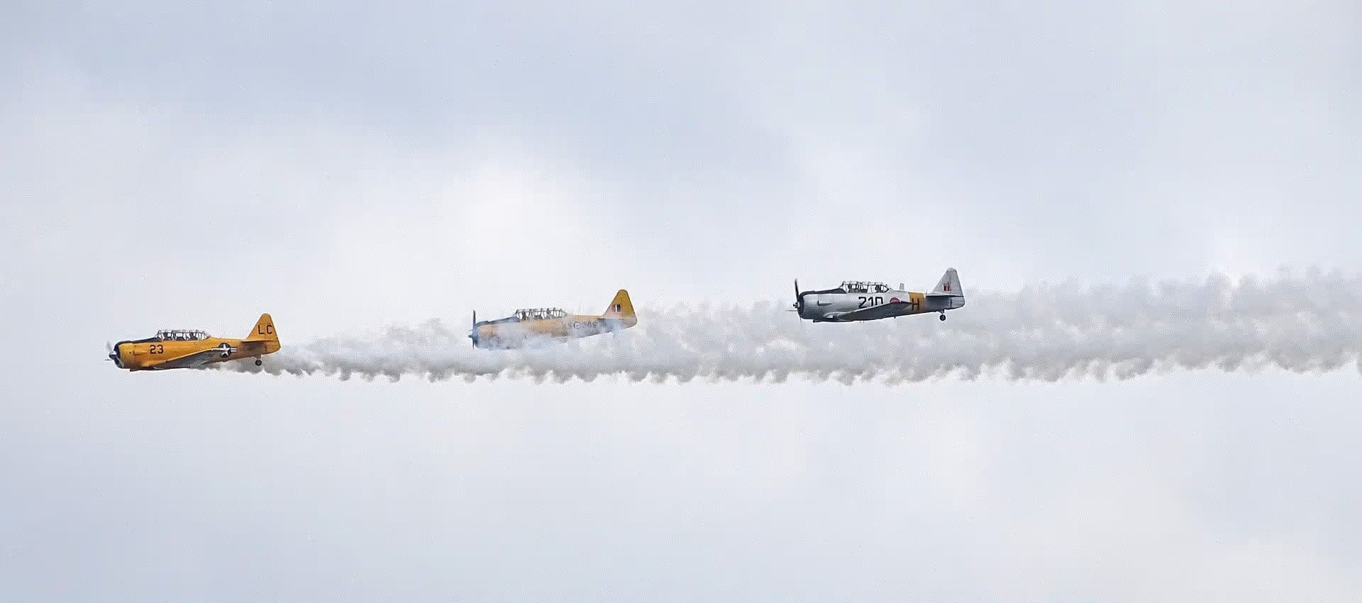 N3286 — Warbird