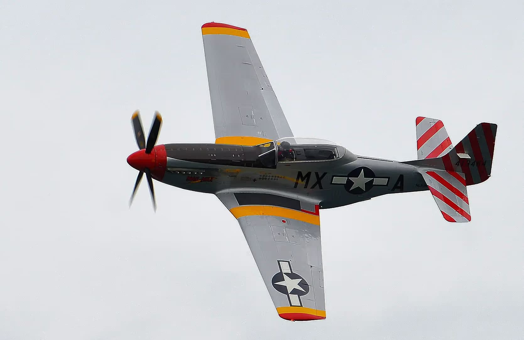 Unidentified — Warbird