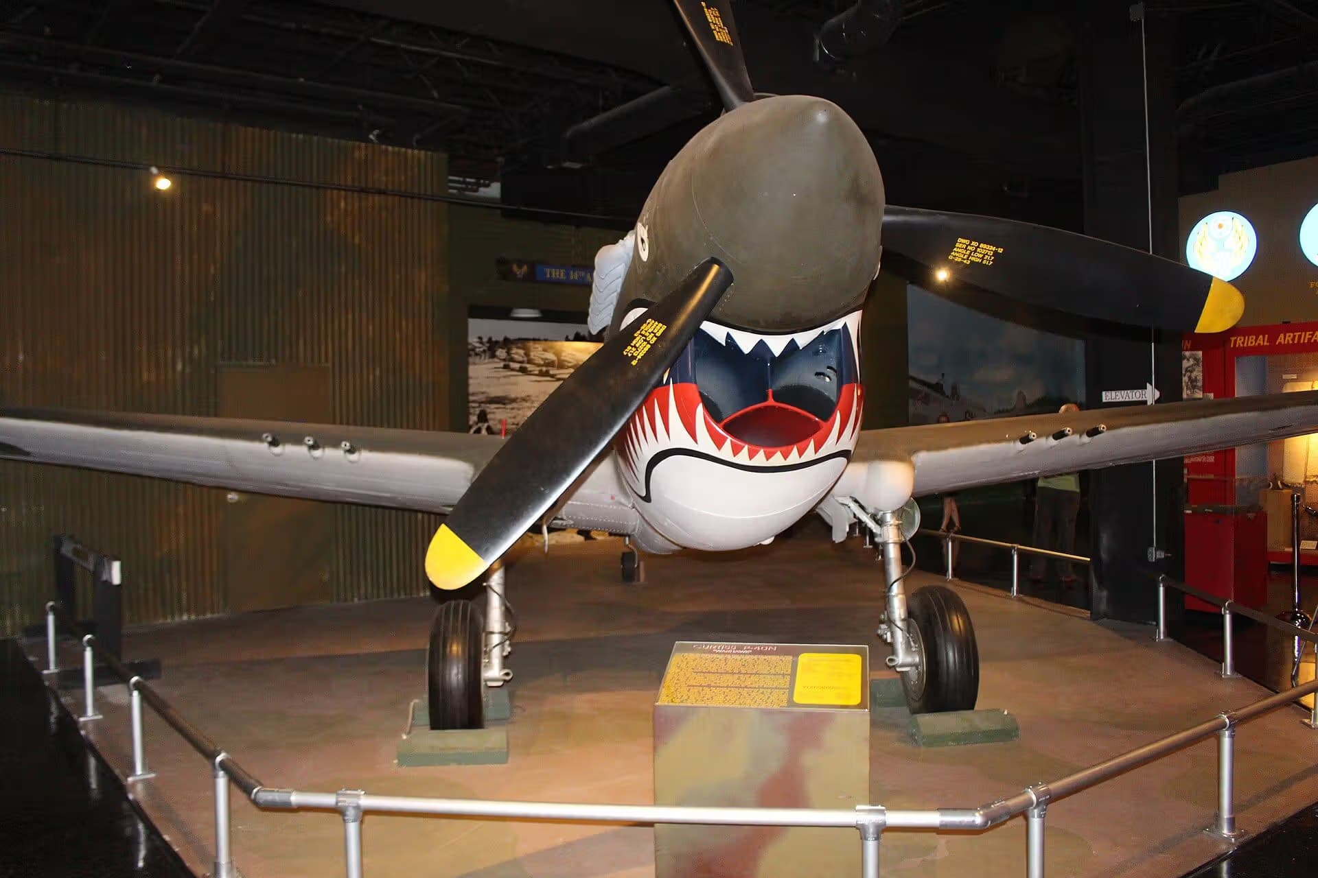 Unidentified — Warbird