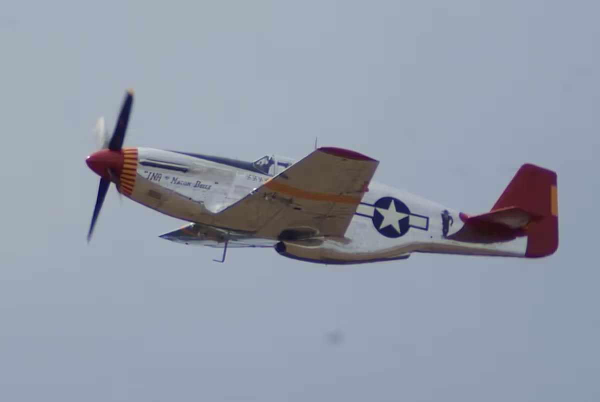 Unidentified — Warbird