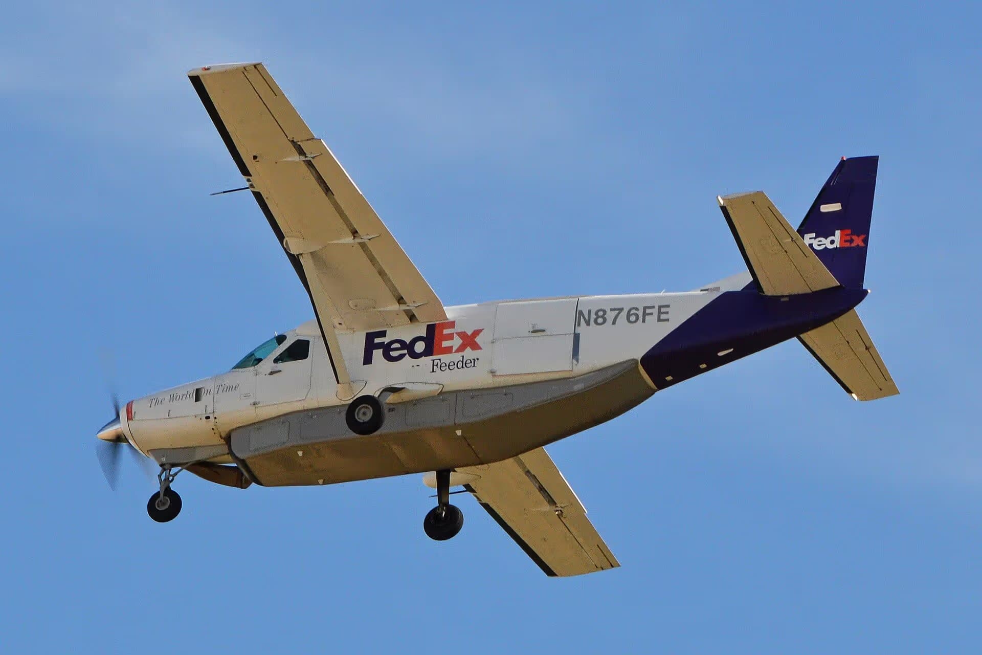 N876FE — Single-engine aircraft