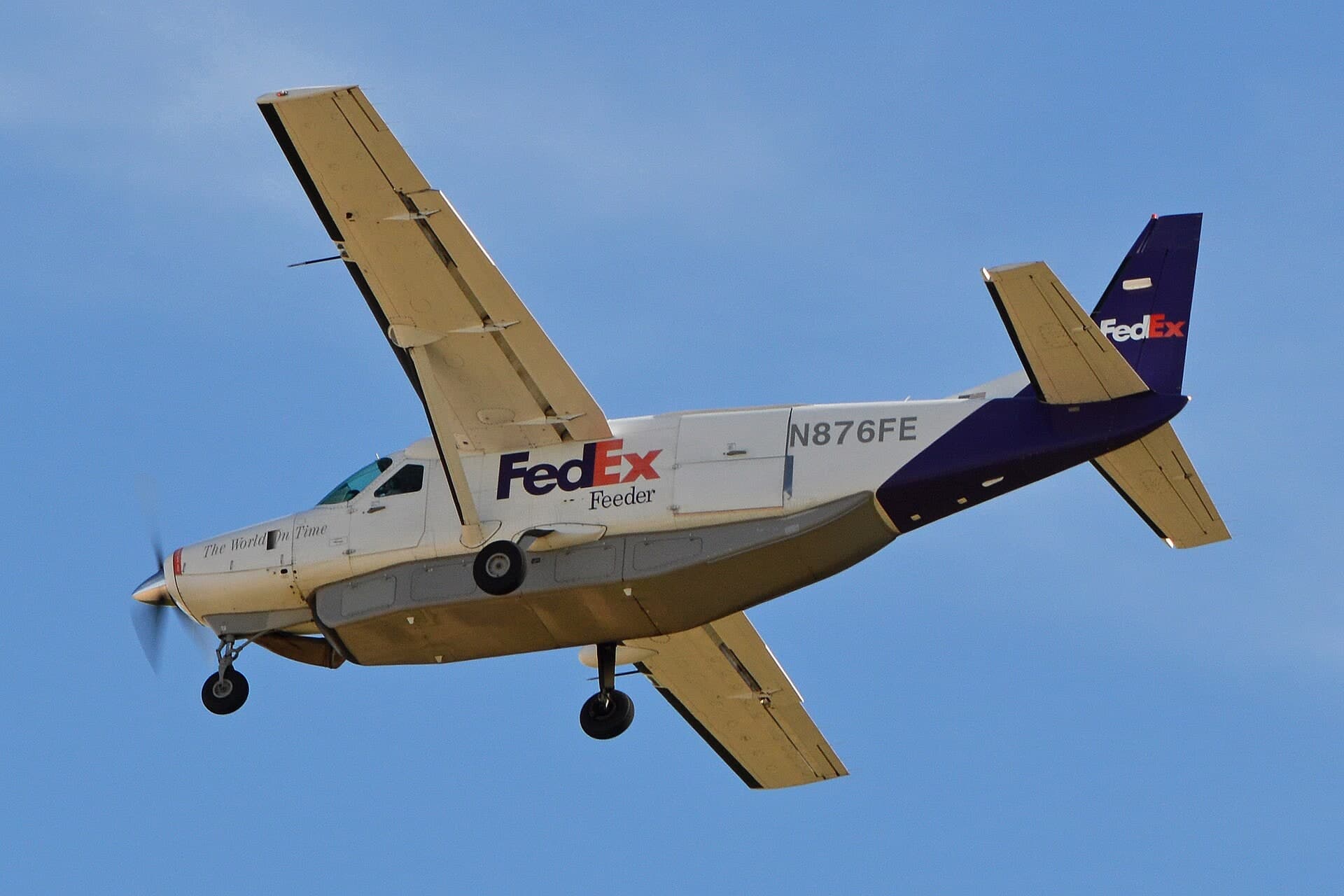 N876FE — Single-engine aircraft
