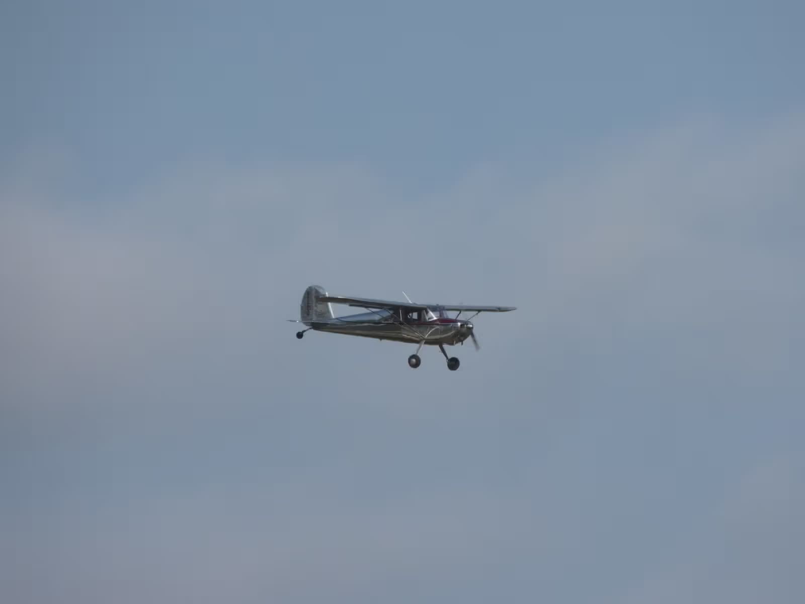 N2293N — Single-engine aircraft