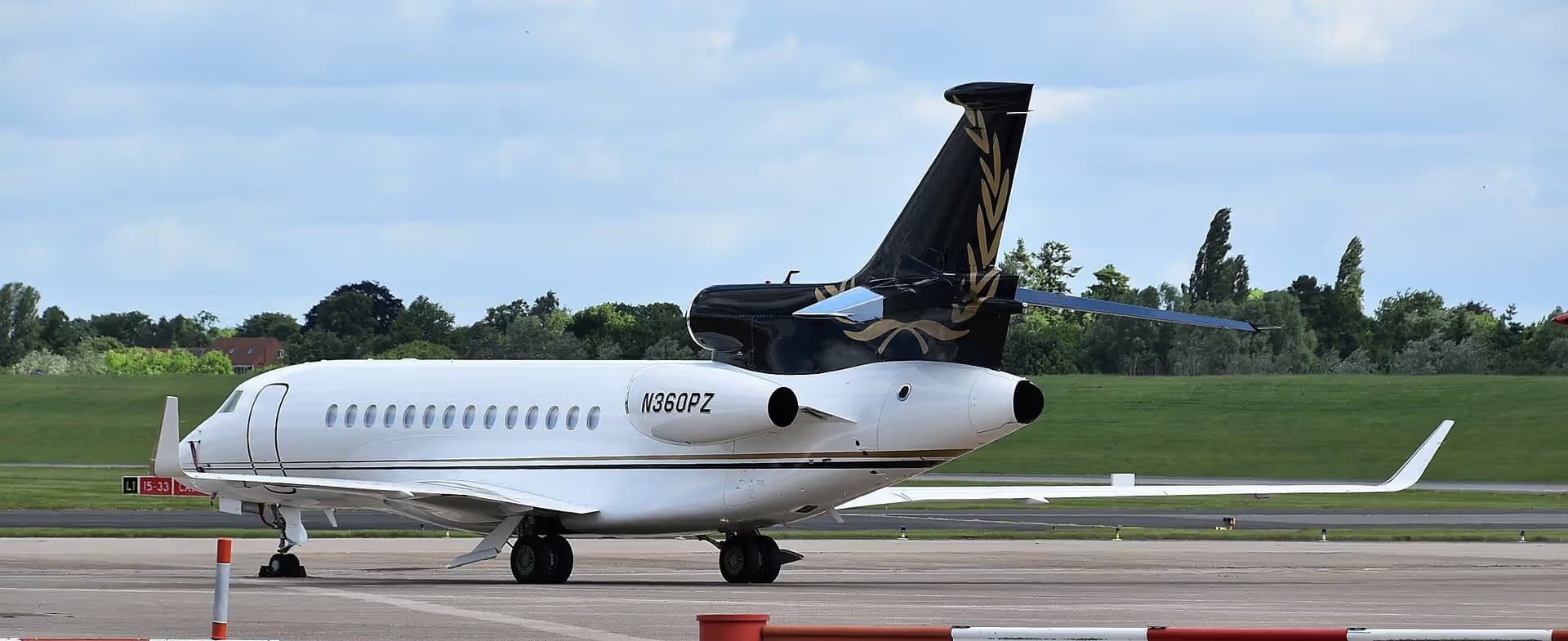 N360PZ — Business jet