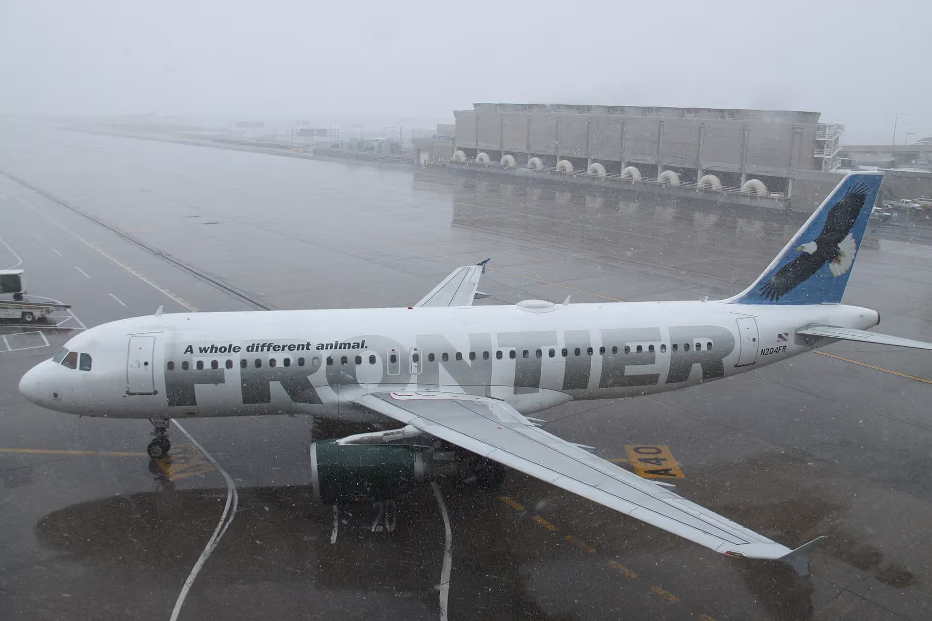 N204FR — Airbus