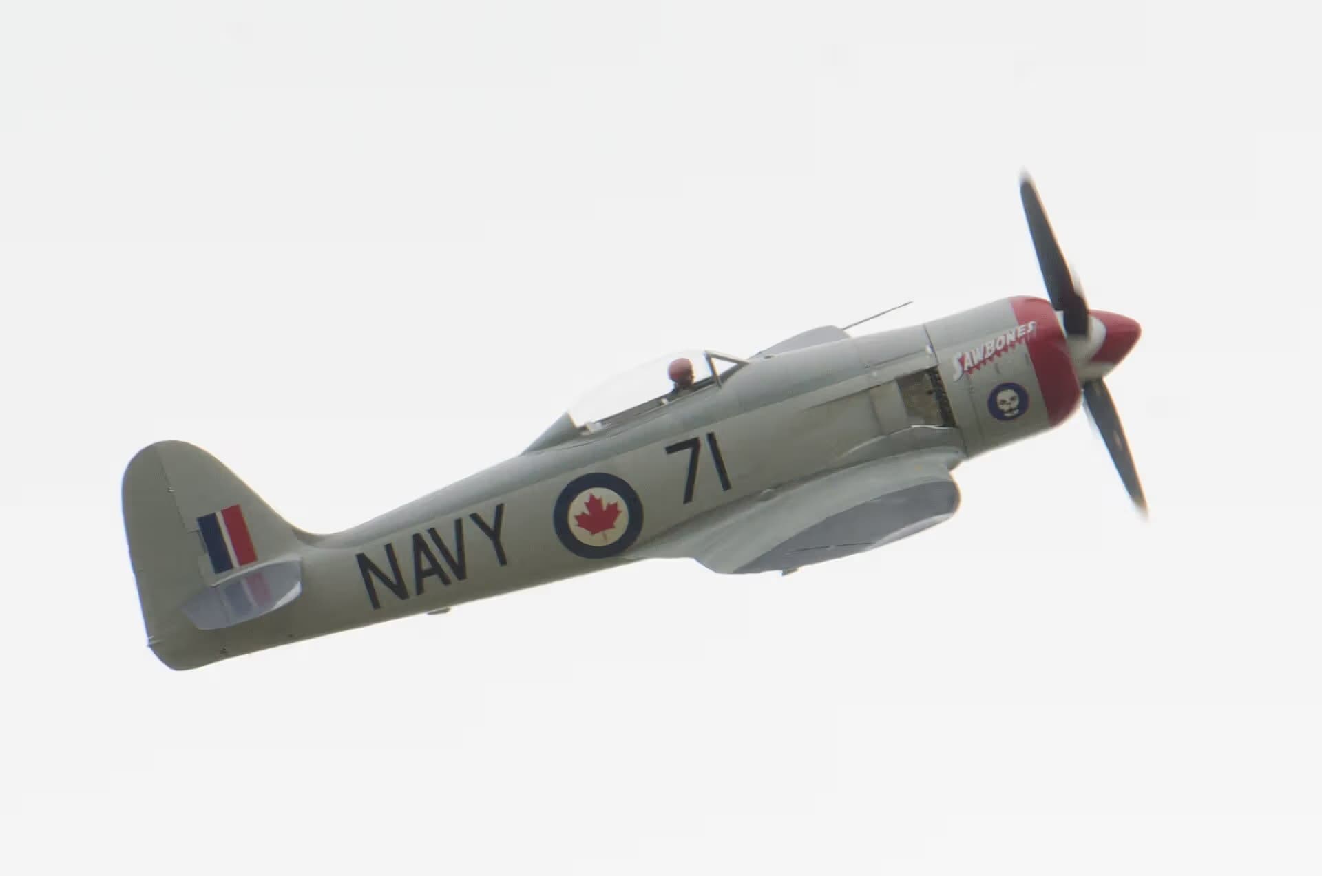 N71GB — Warbird