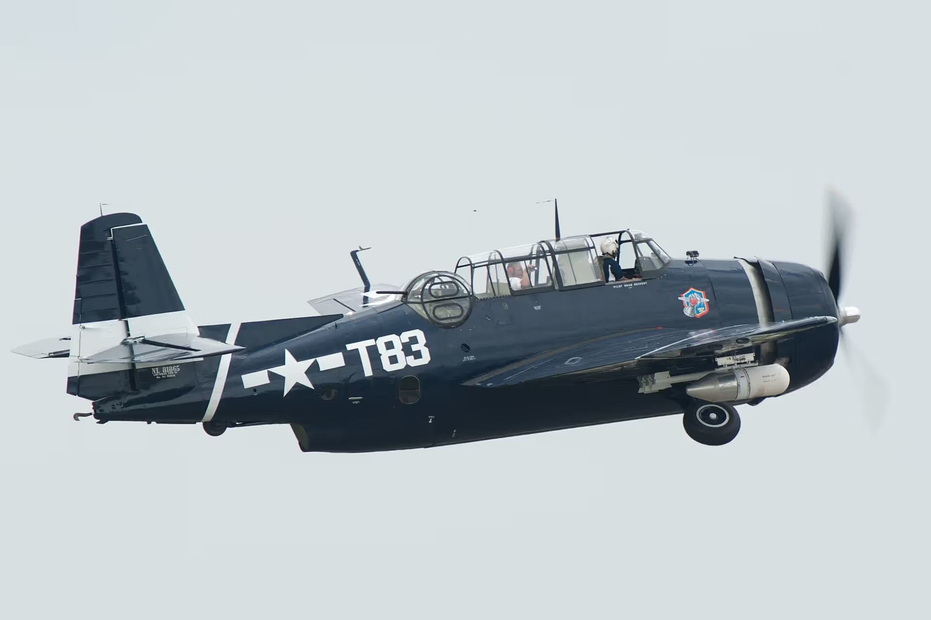 N81865 — Warbird