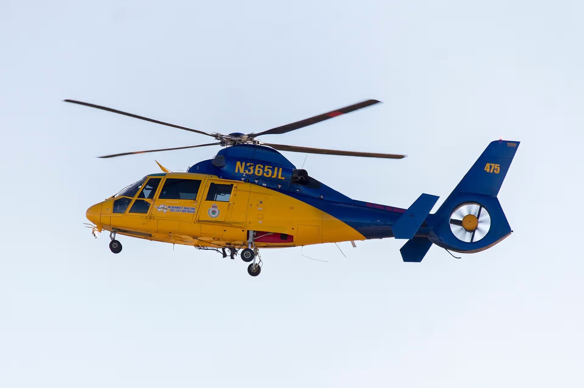N365JL — Helicopter at Wagga Wagga Airport