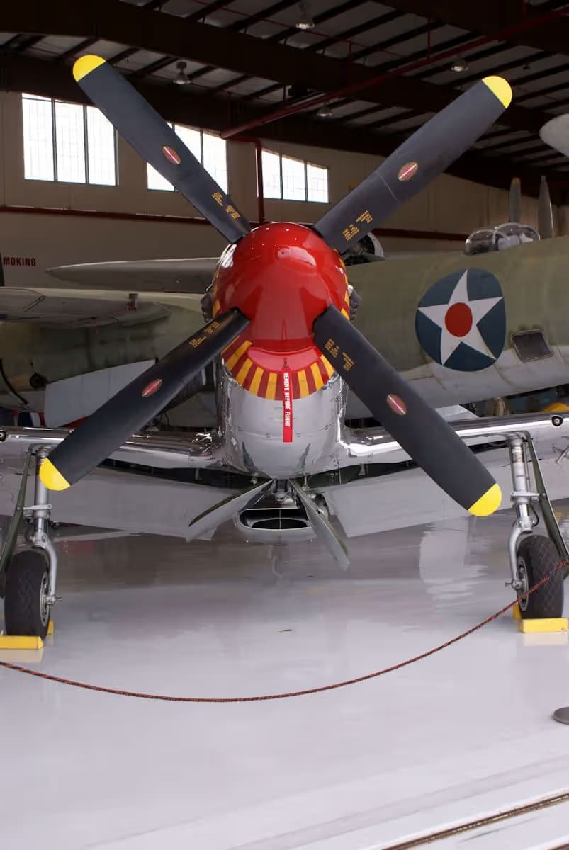 Unidentified — Warbird