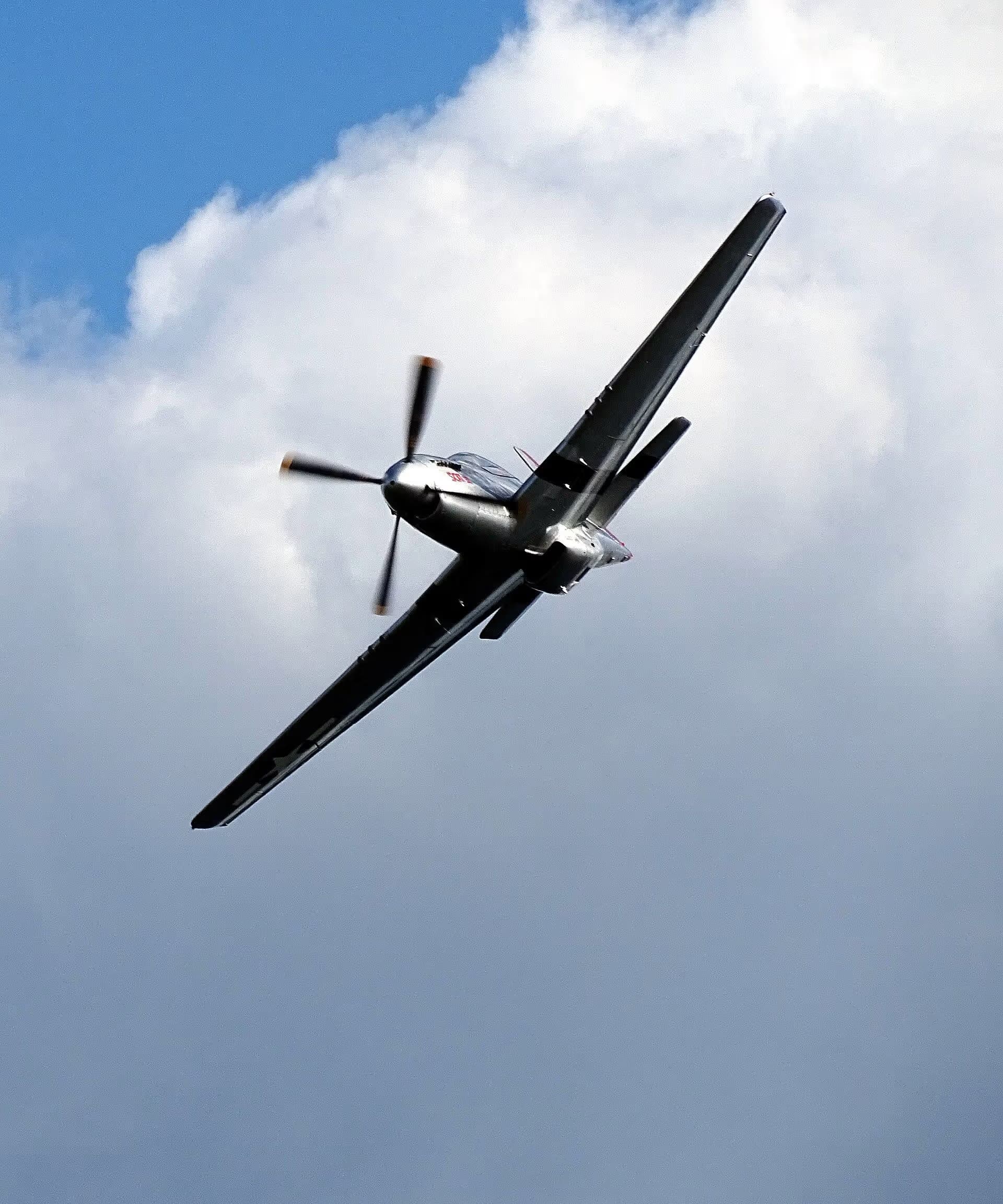 Unidentified — Warbird