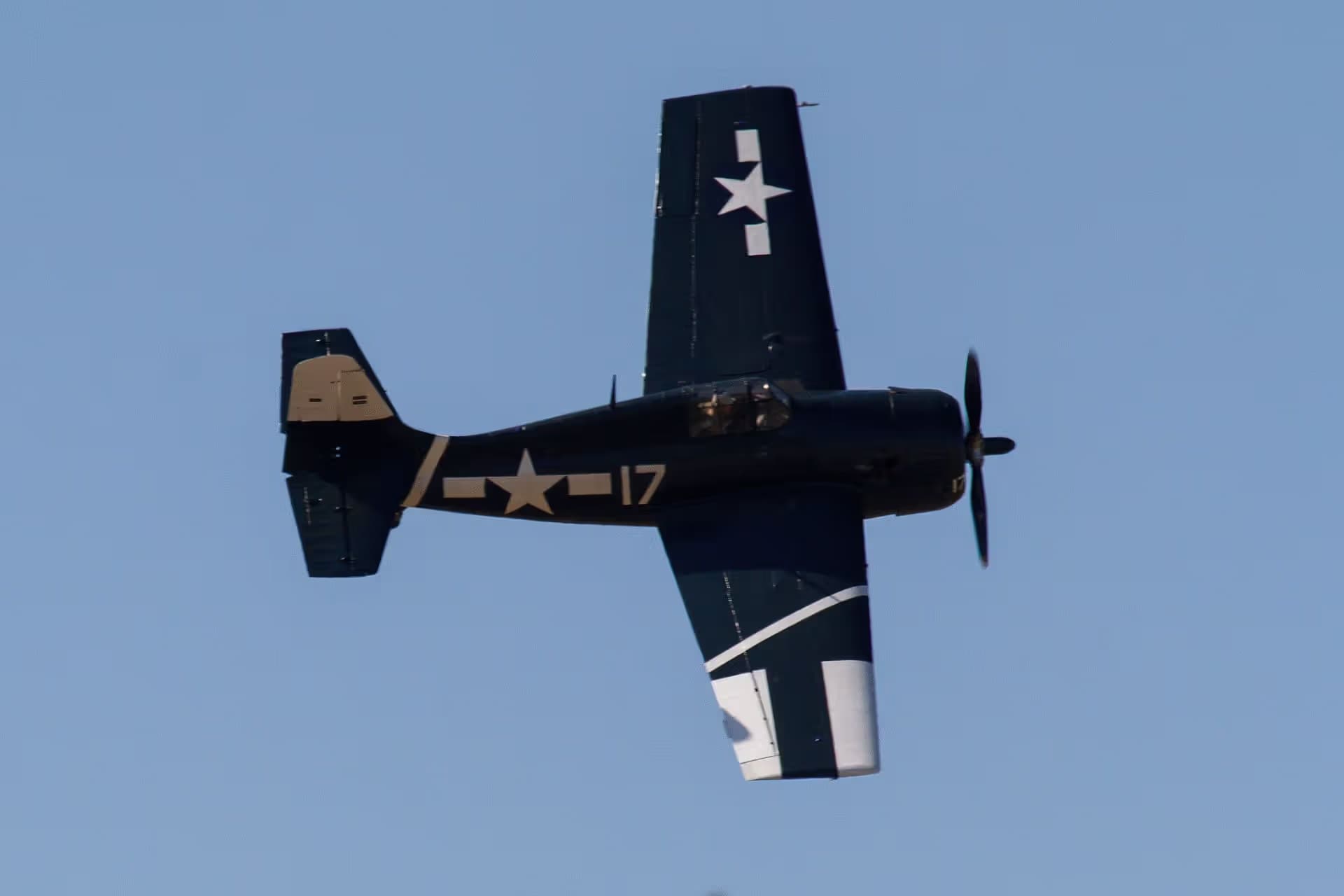 Unidentified — Warbird