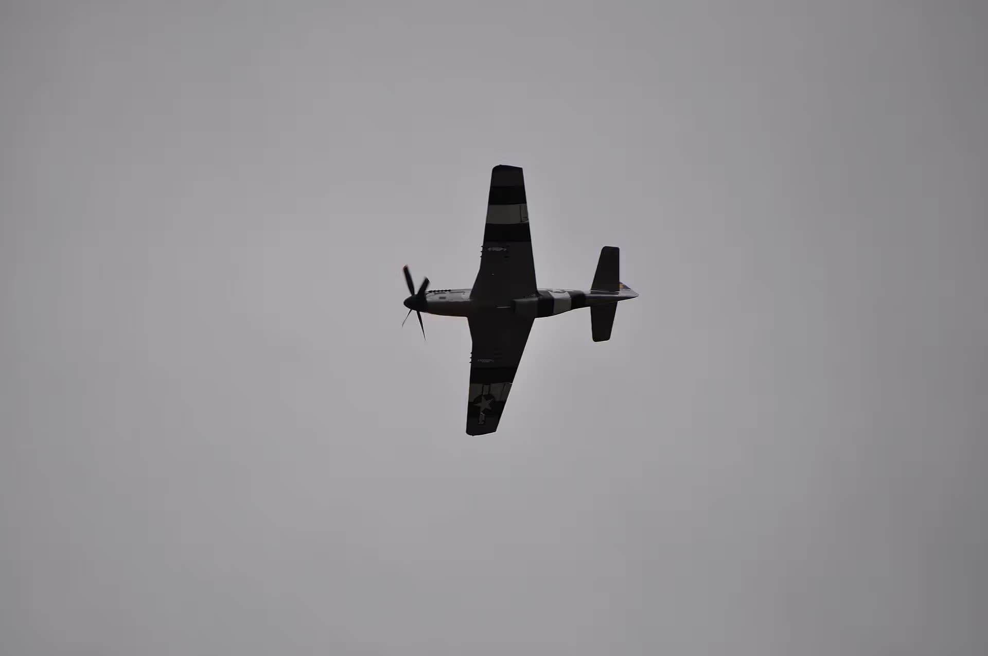 Unidentified — Warbird