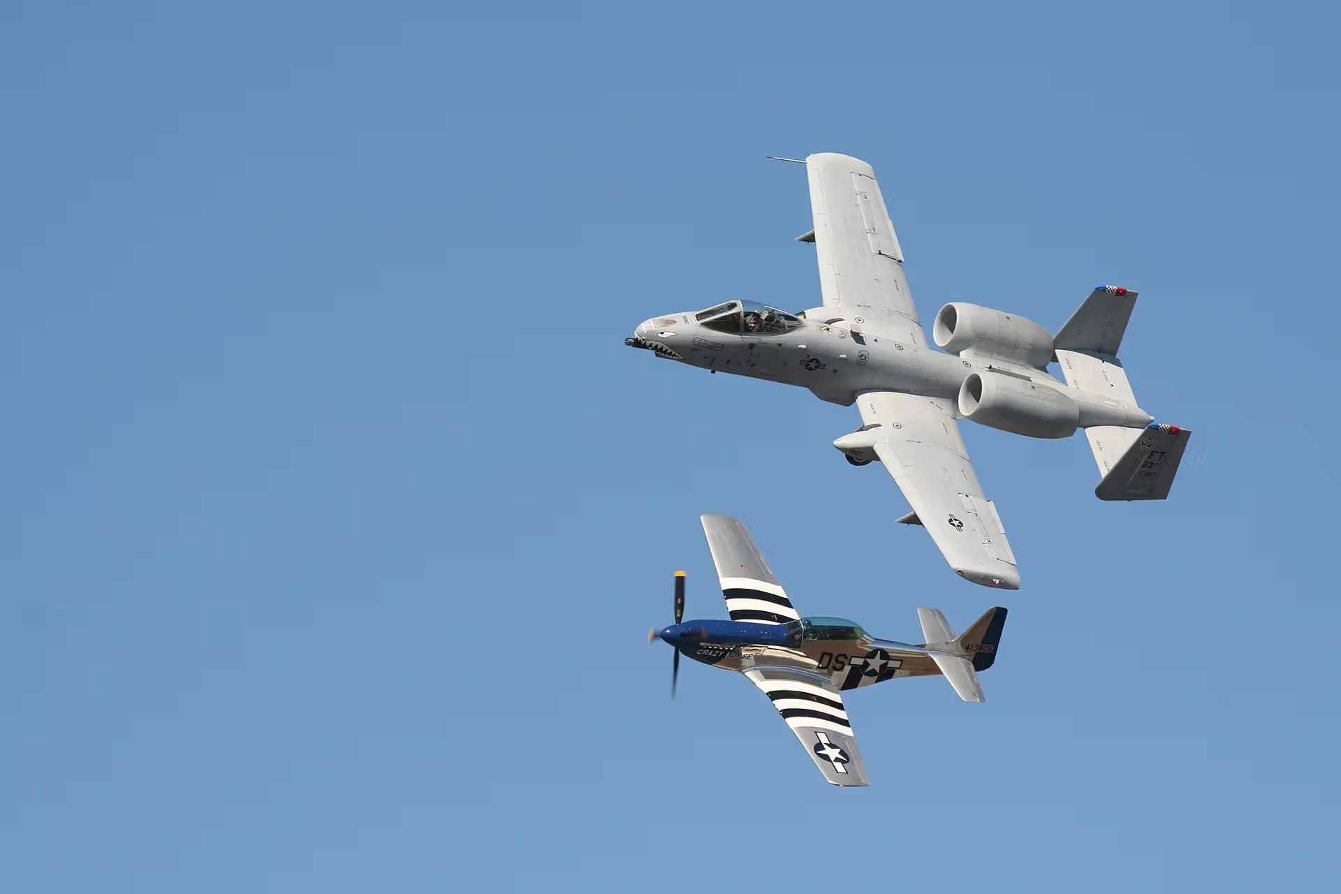 Unidentified — Warbird