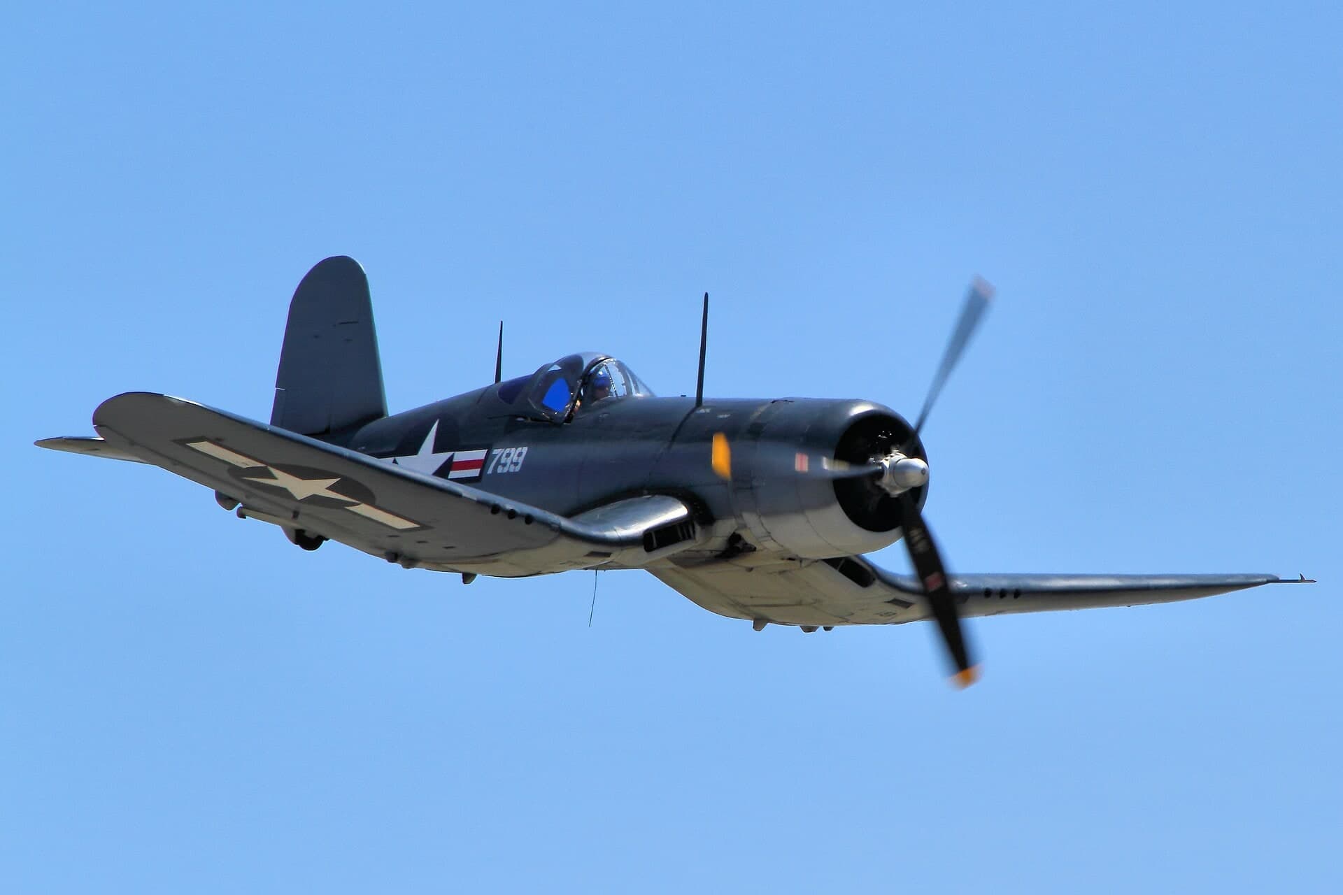 N83782 — Warbird