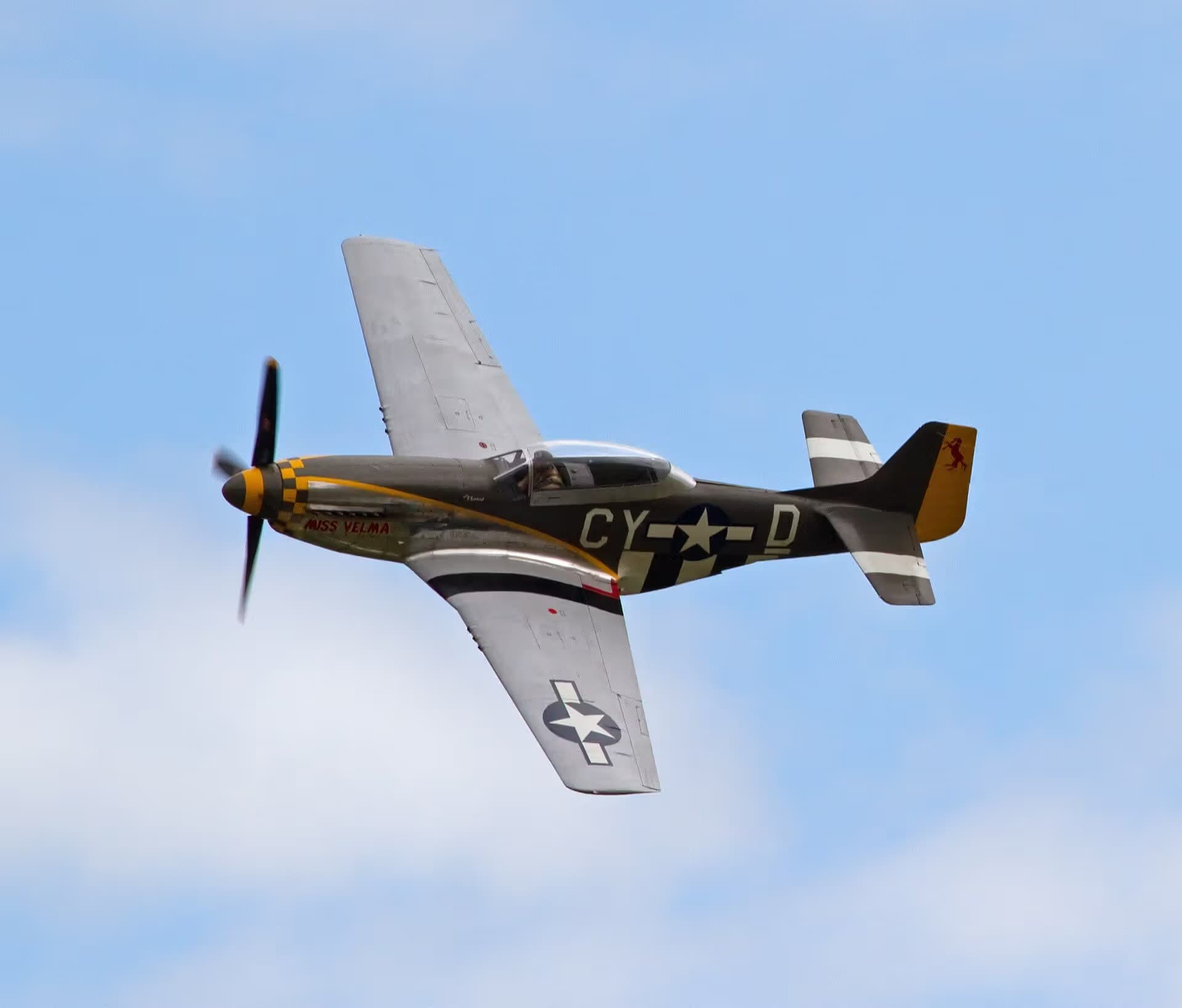 N251RJ — Warbird