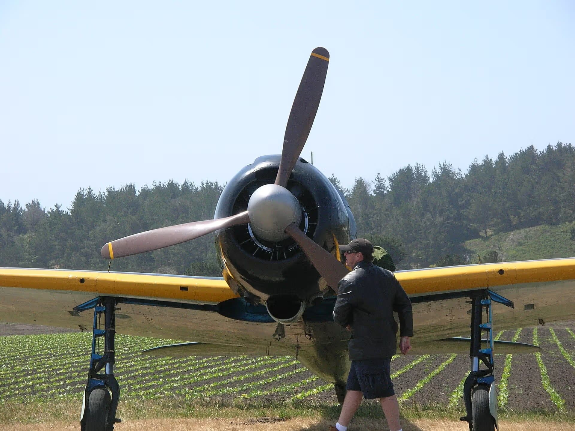 Unidentified — Single-engine aircraft