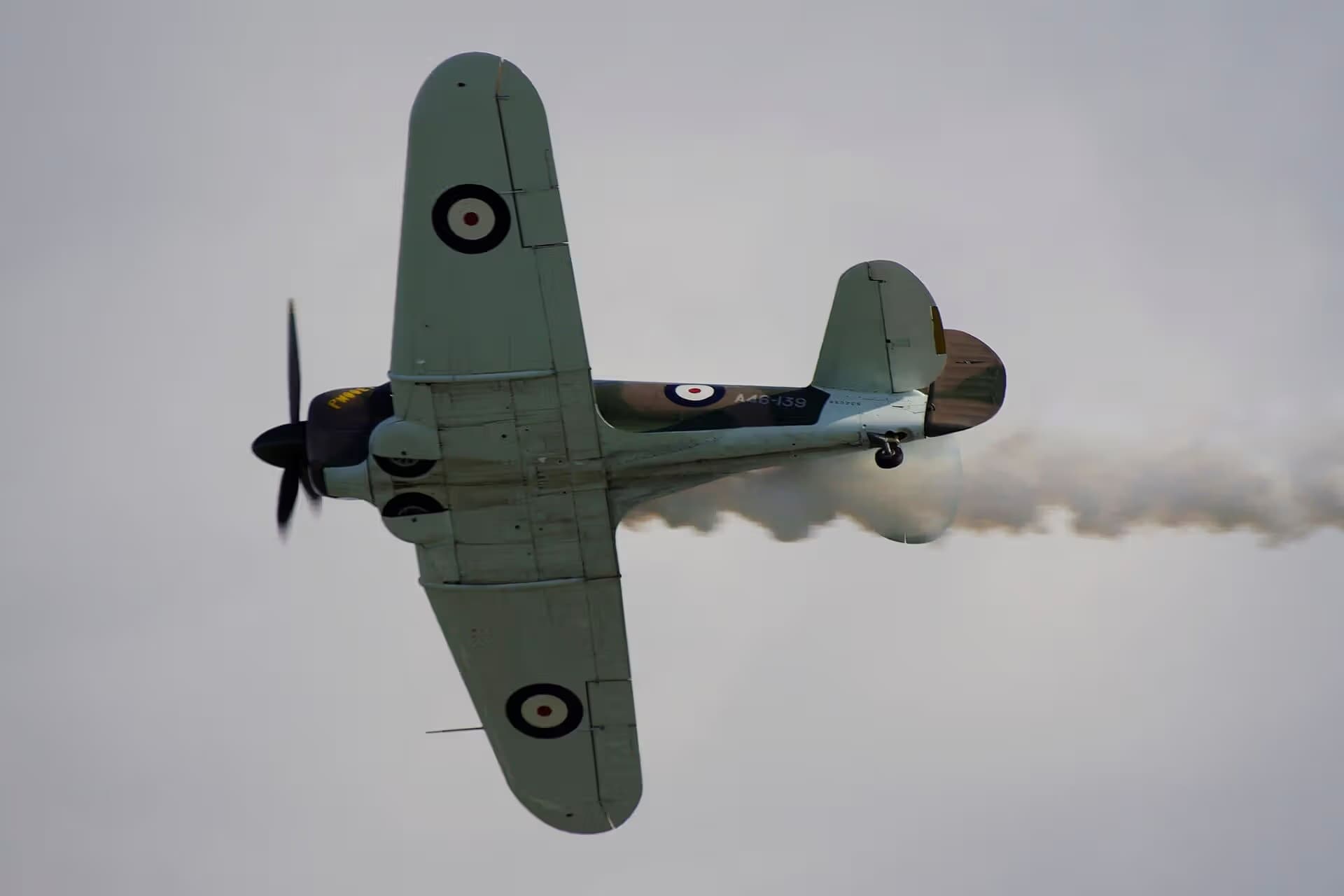 Unidentified — Warbird