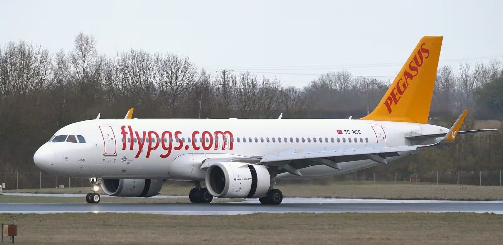 TC-NCE — Twin-engine aircraft