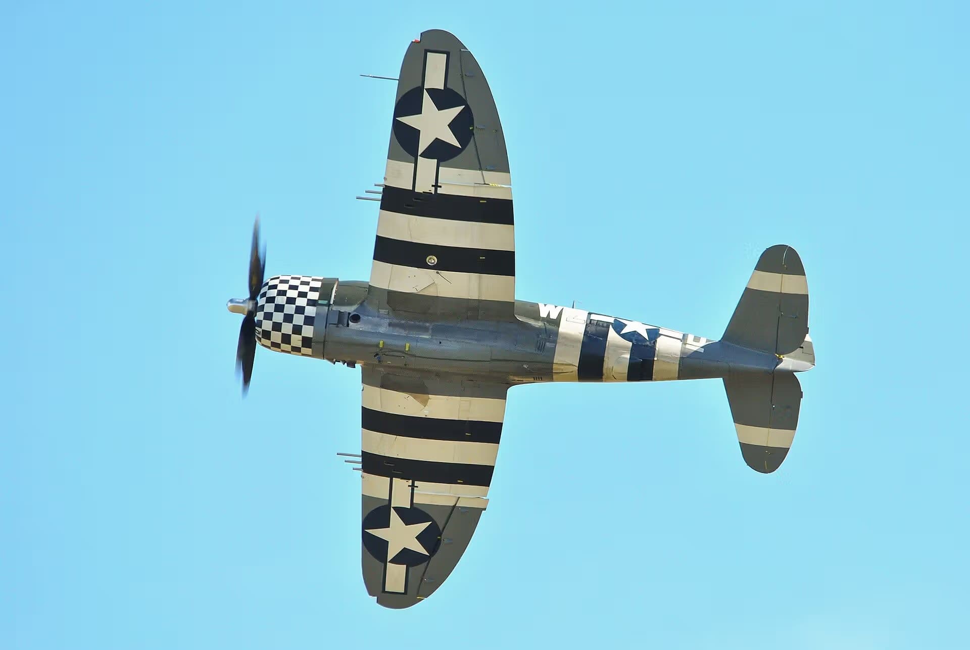 Unidentified — Warbird