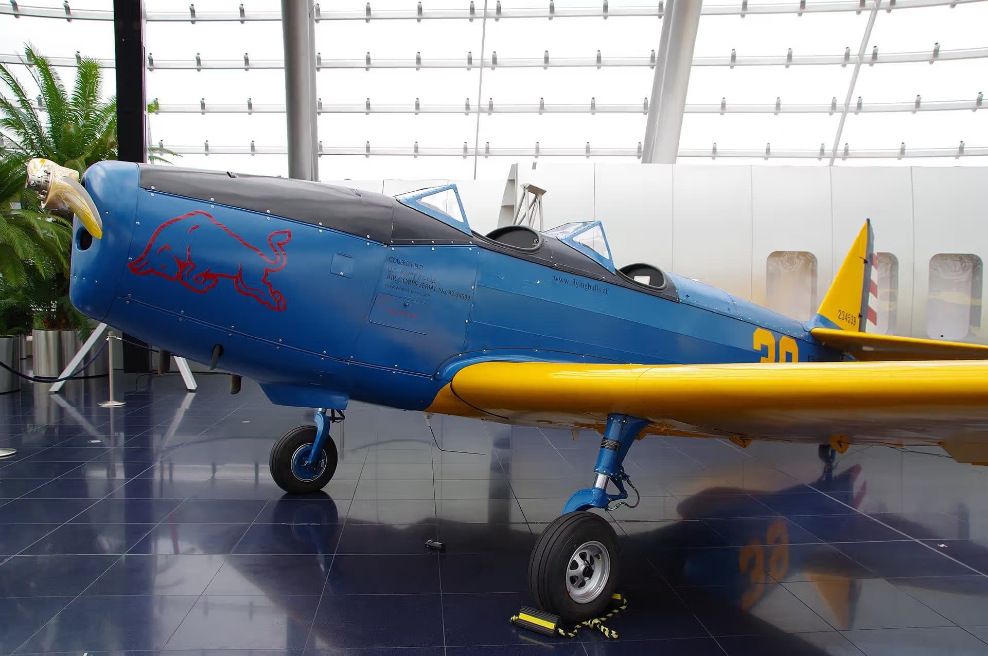 N50429 — Single-engine aircraft