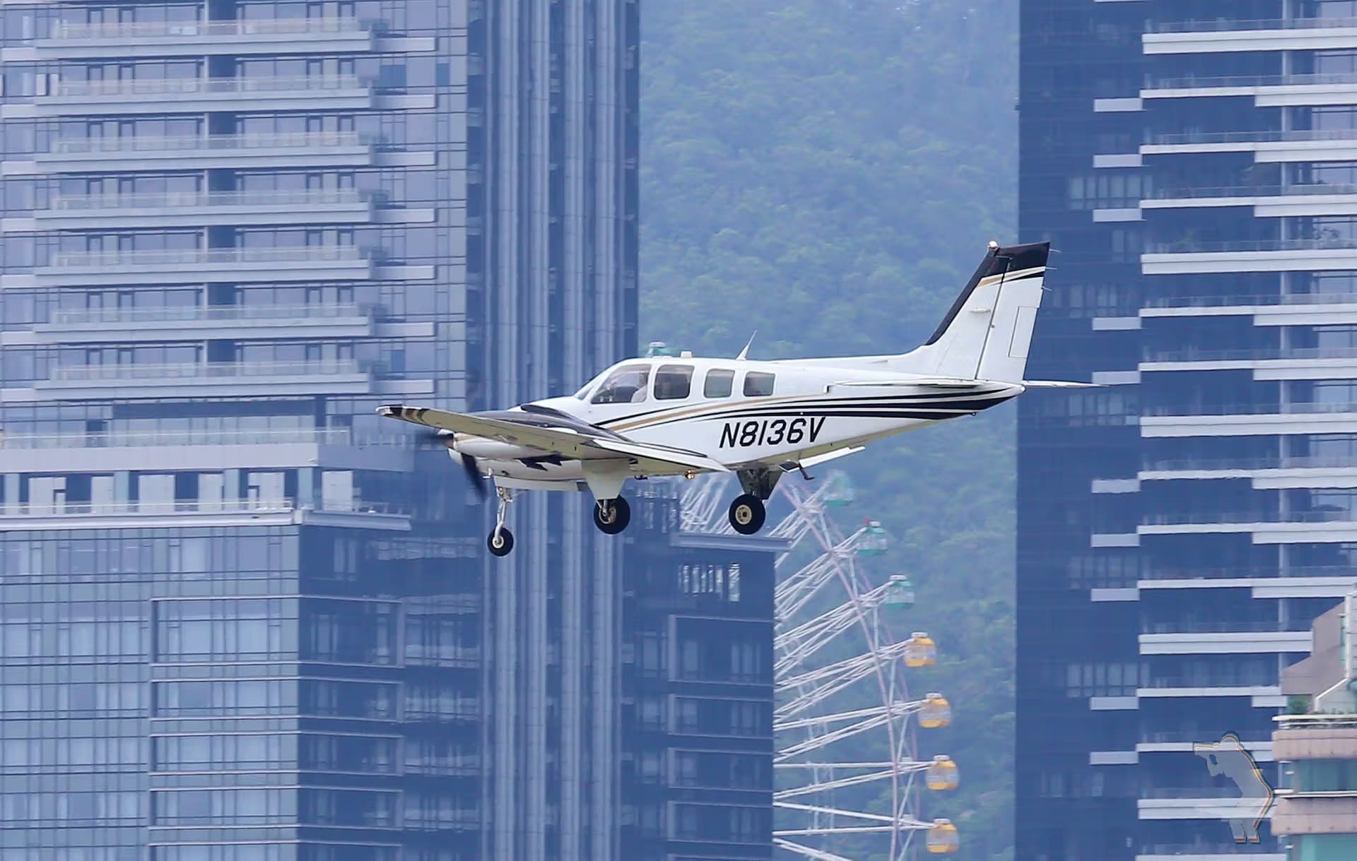 N8136V — Single-engine aircraft