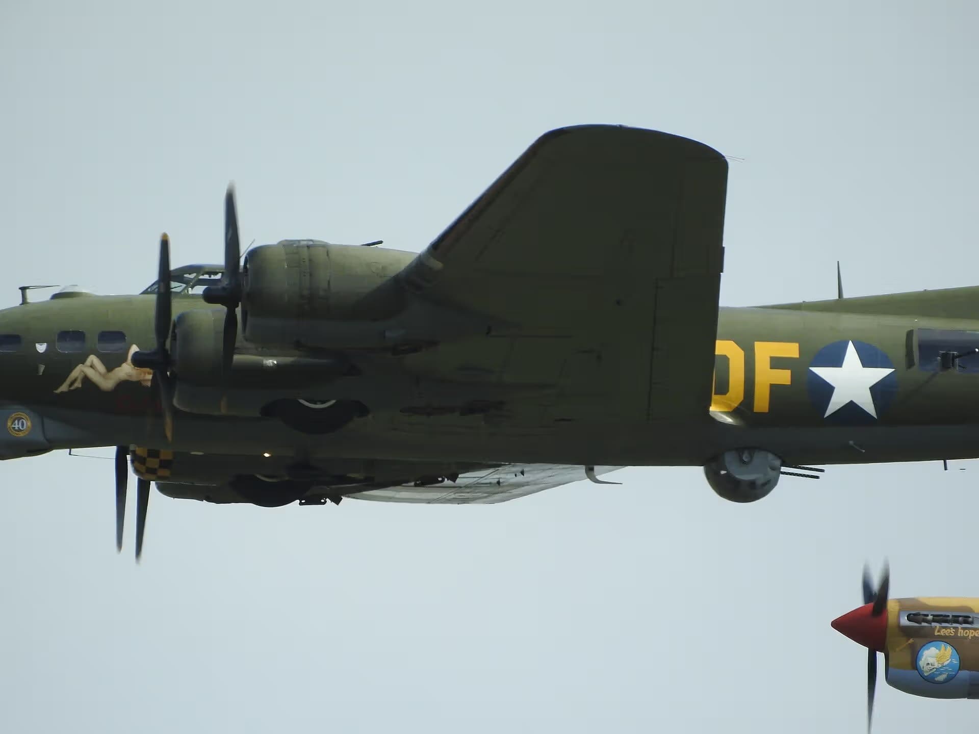 Unidentified — Warbird