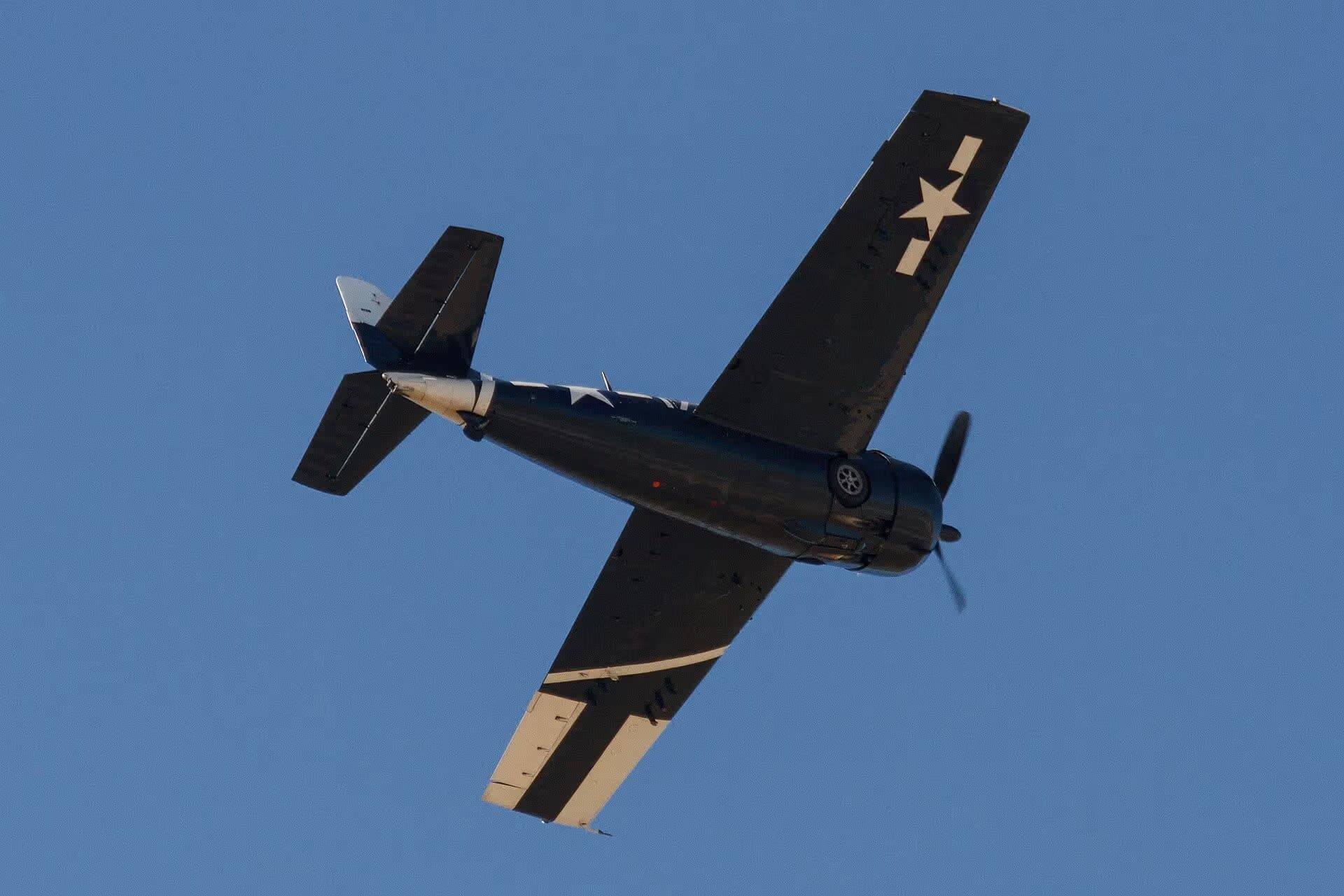 Unidentified — Warbird