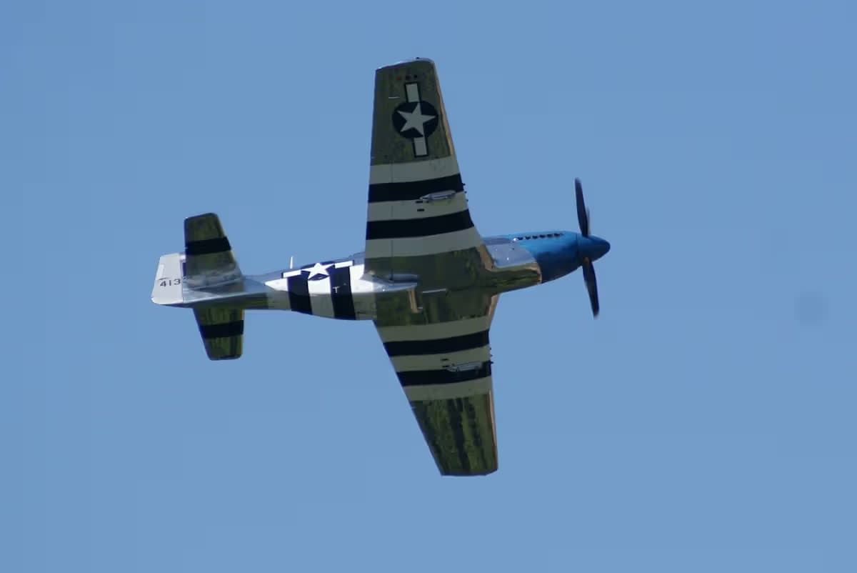 Unidentified — Warbird