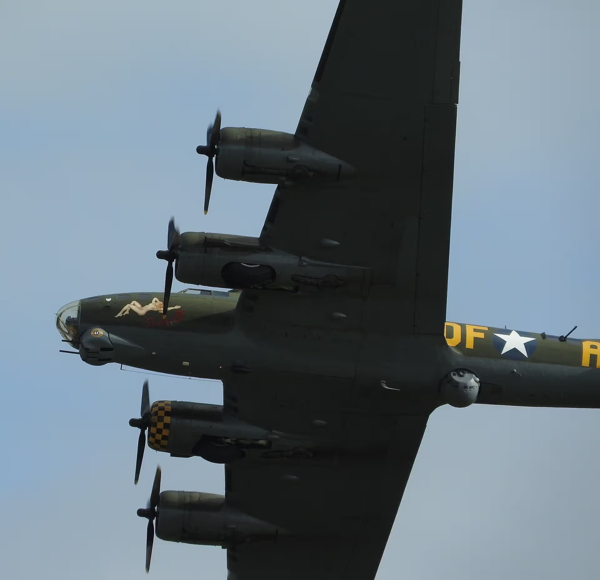 Unidentified — Warbird
