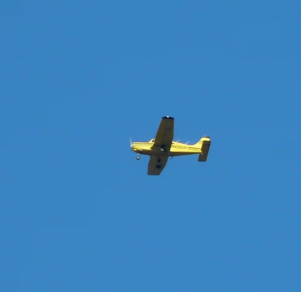 N4593F — Single-engine aircraft