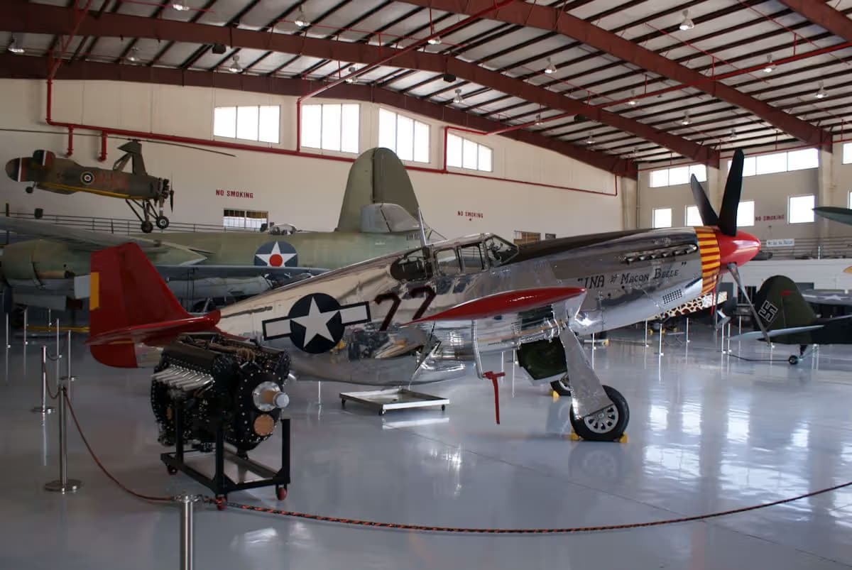 Unidentified — Warbird