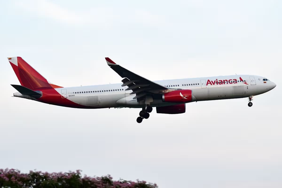 N804AV — Airbus