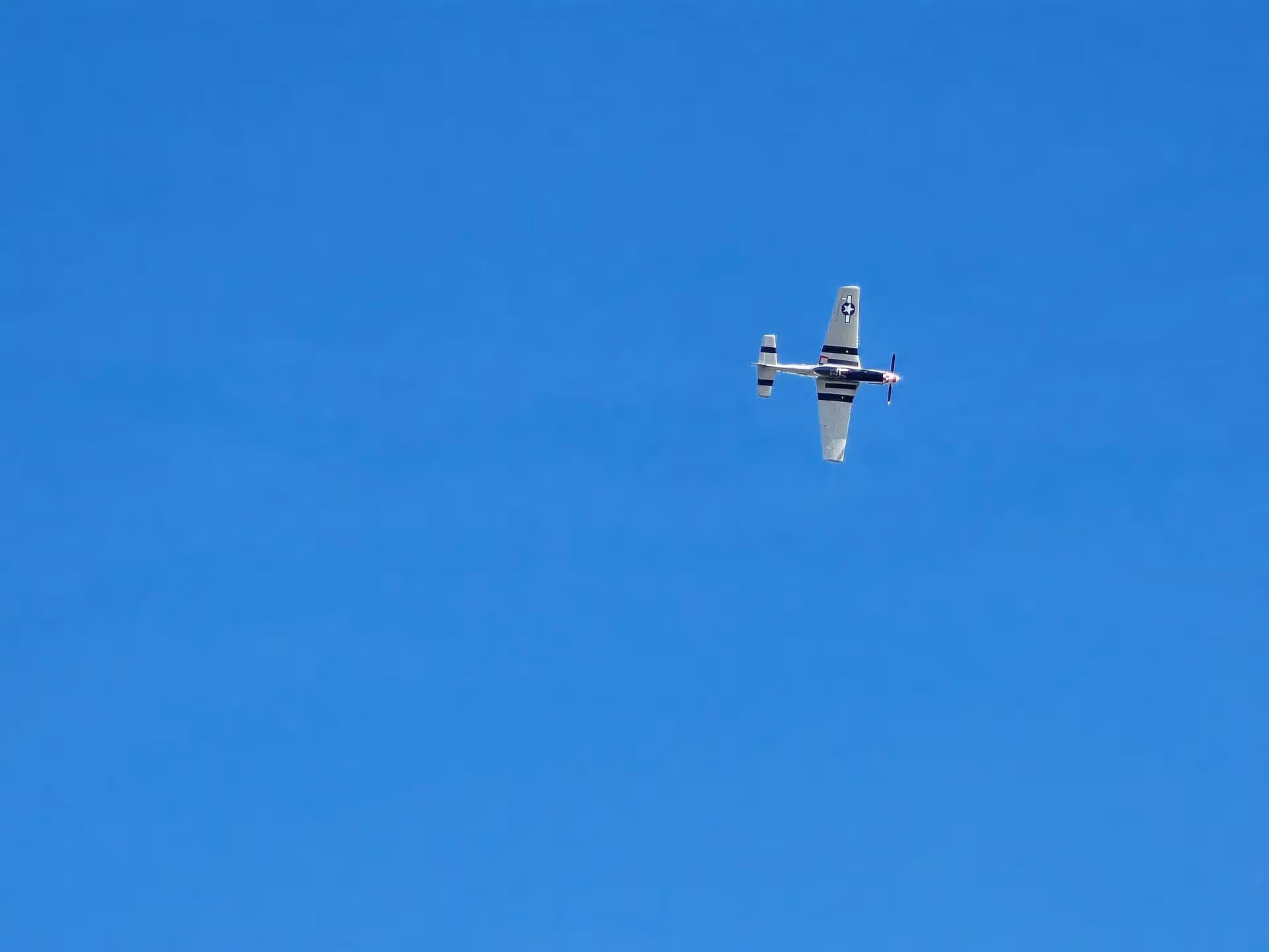 Unidentified — Warbird