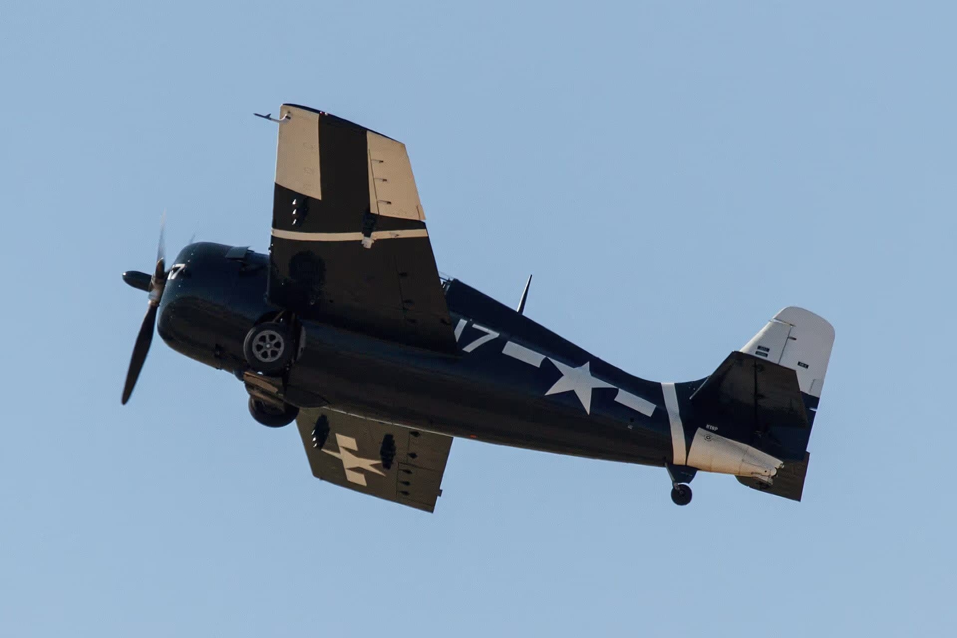 N18P — Warbird