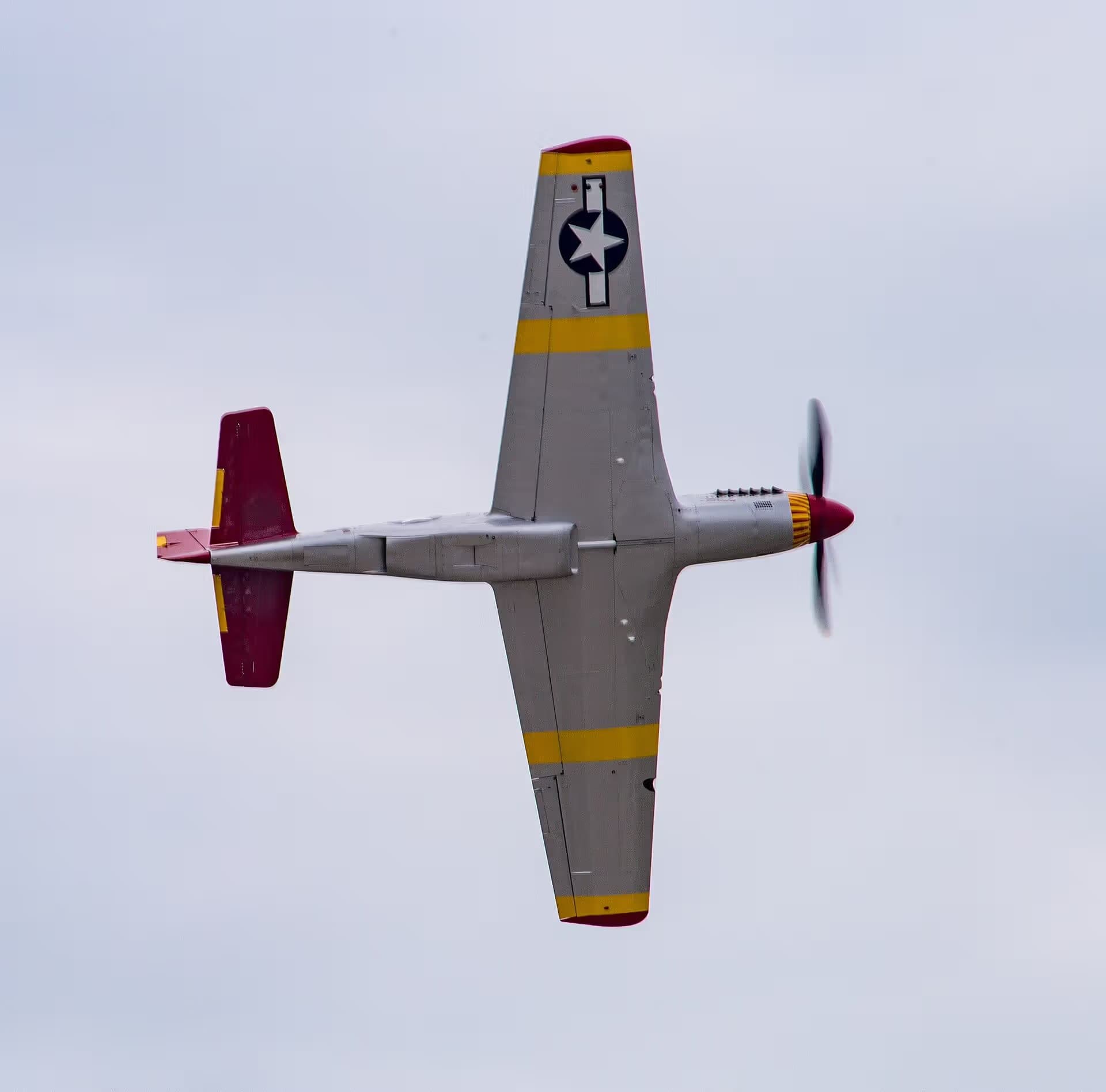Unidentified — Warbird