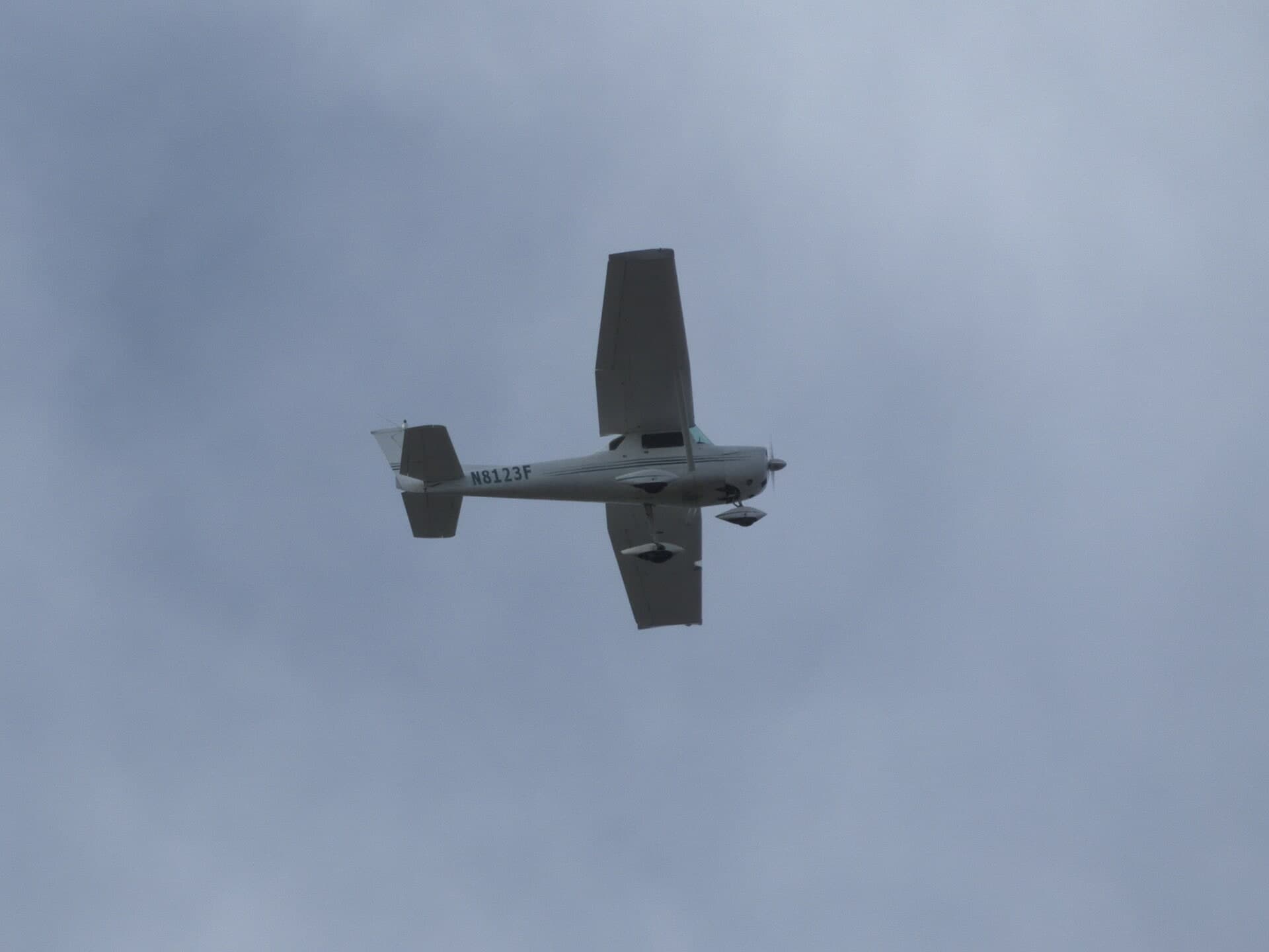 N8123F — Single-engine aircraft