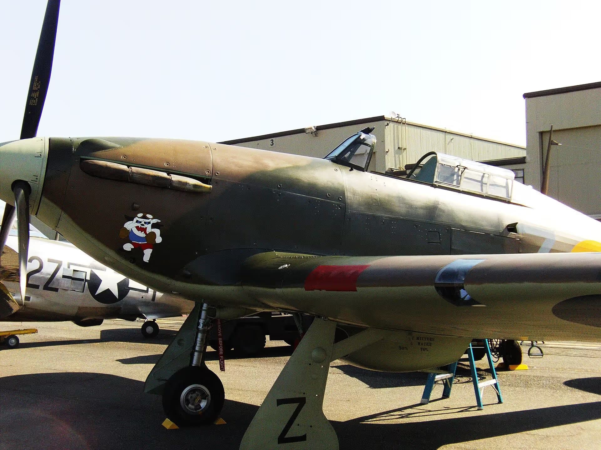 Unidentified — Warbird