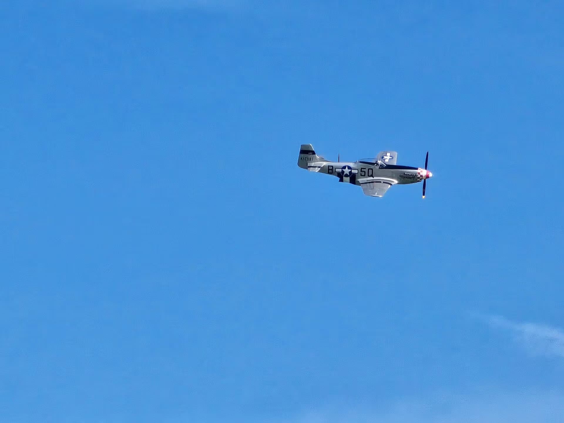 Unidentified — Warbird