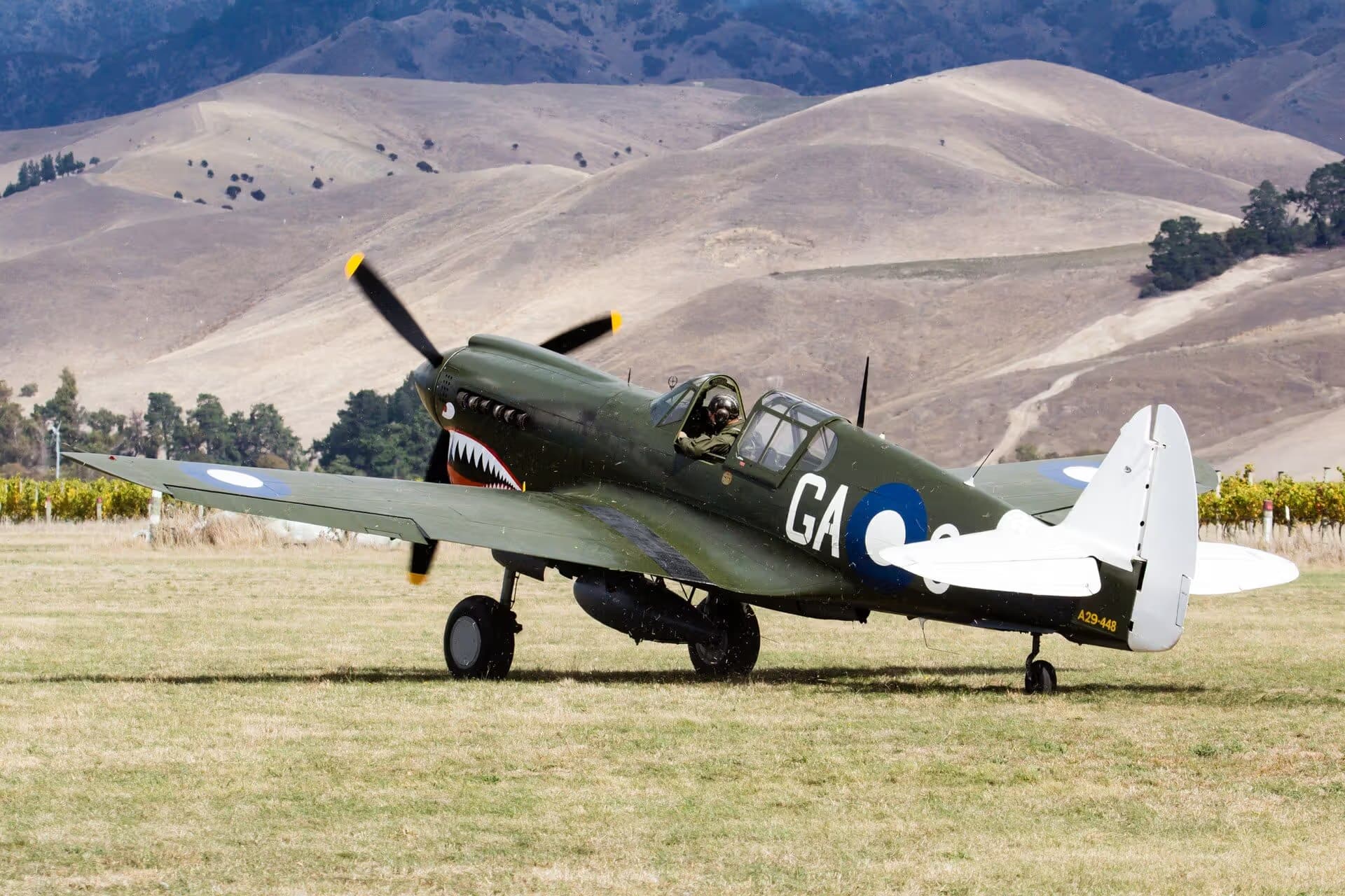 Unidentified — Warbird