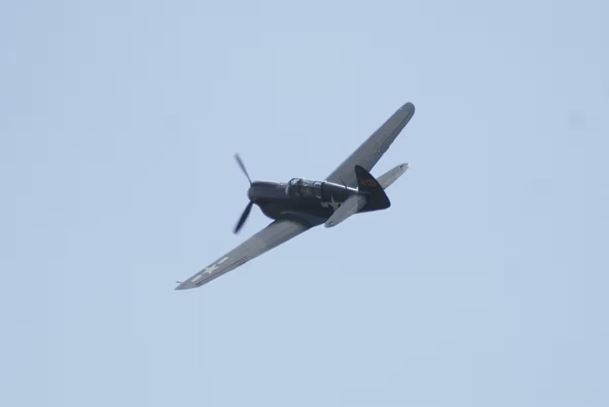 Unidentified — Warbird