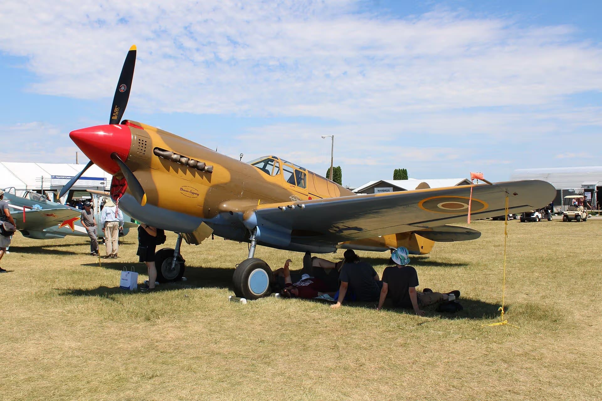 Unidentified — Warbird
