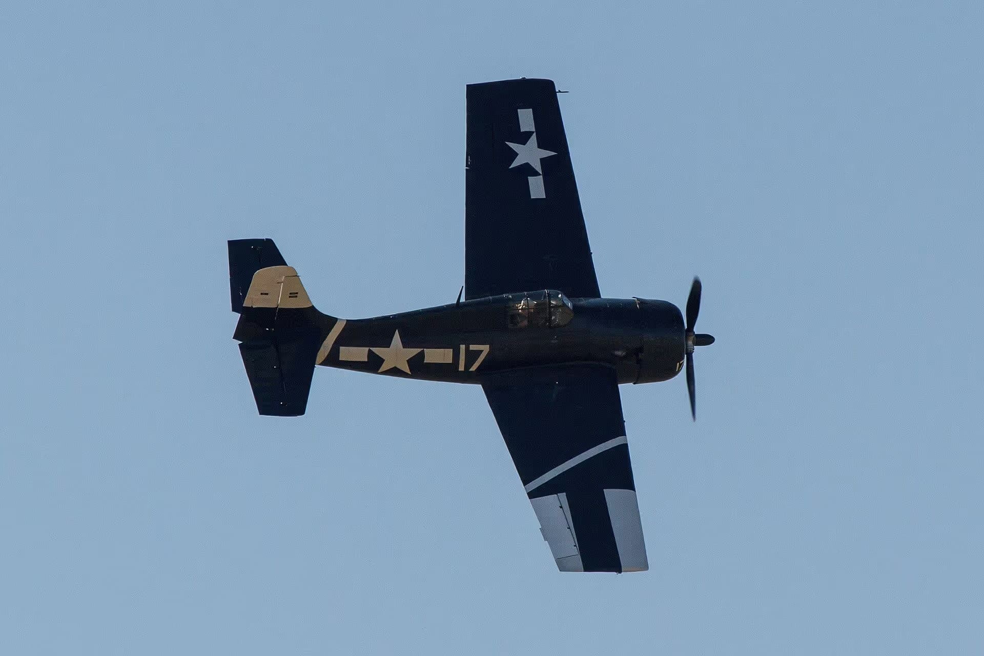 Unidentified — Warbird