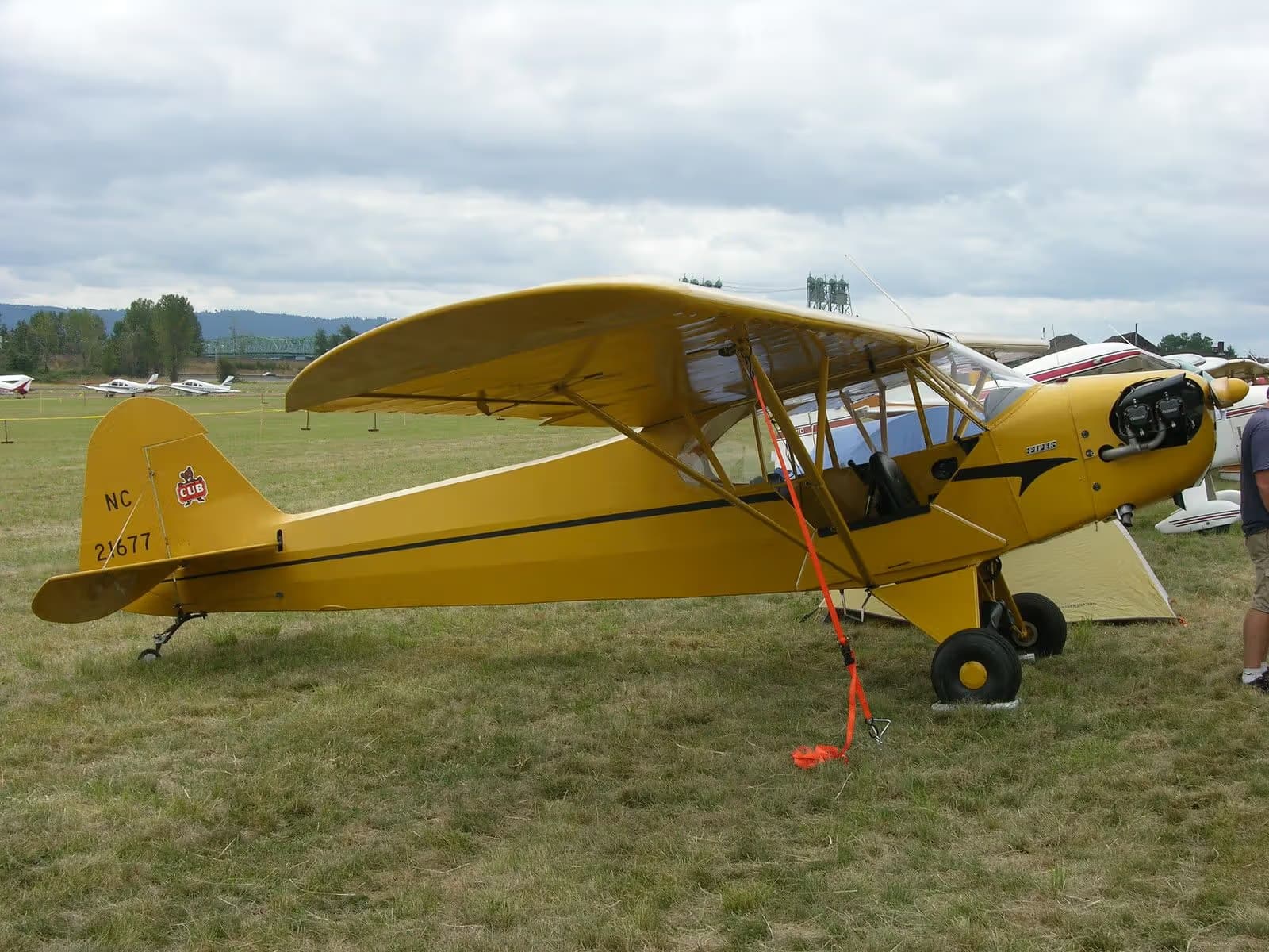 N21677 — Piper