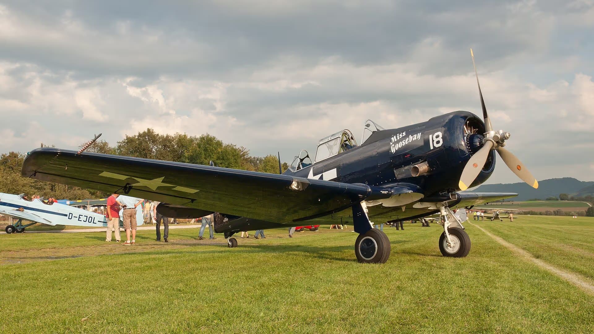 N6593D — Warbird