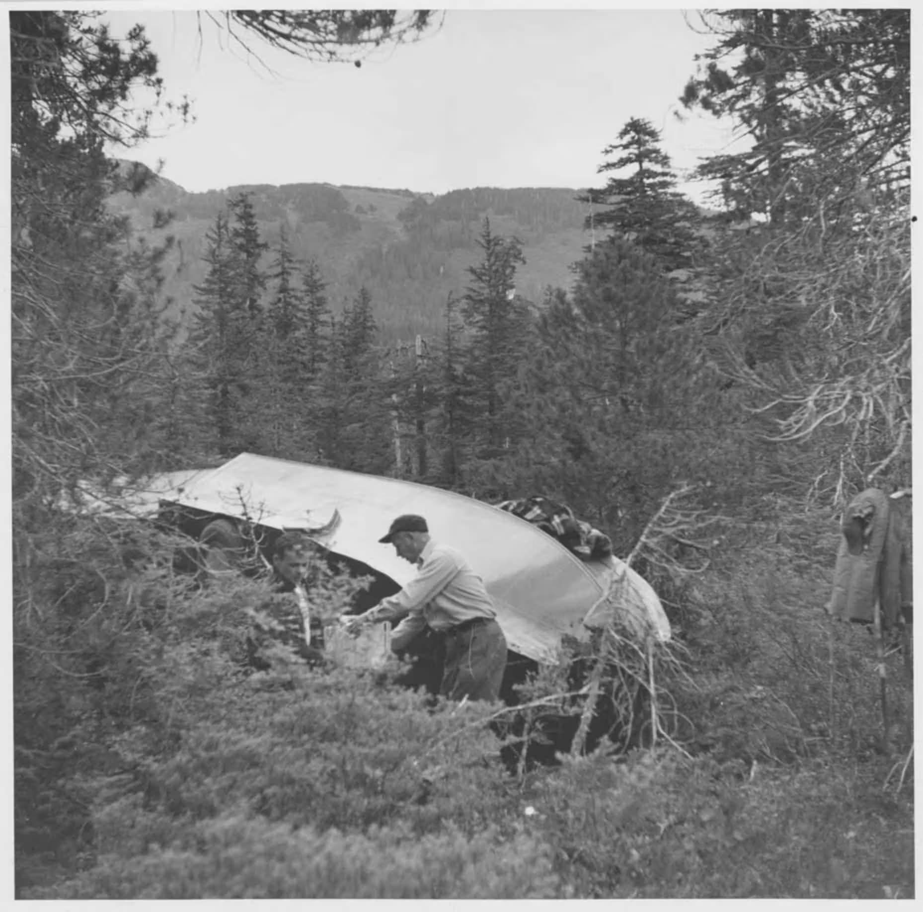 N742 — Aircraft