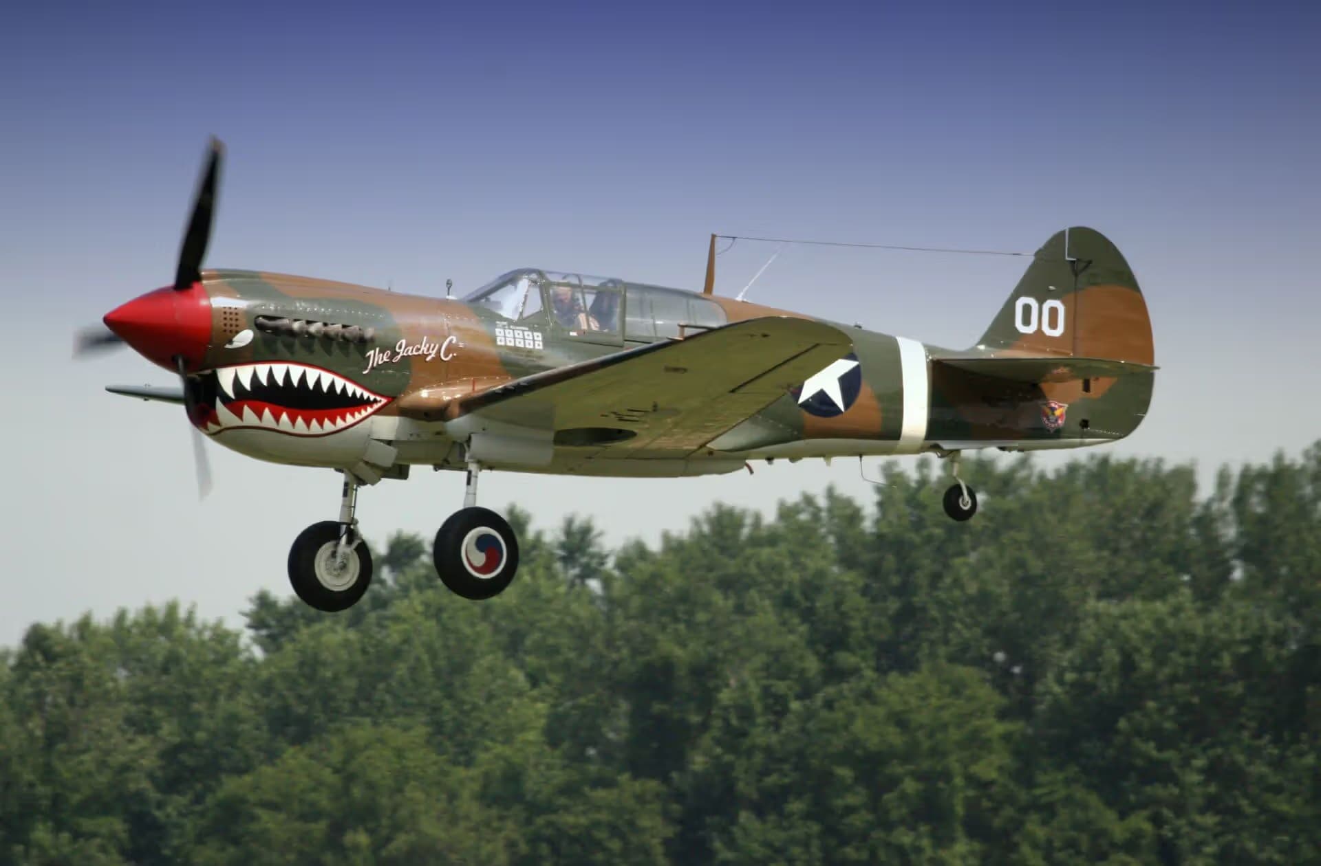 Unidentified — Warbird
