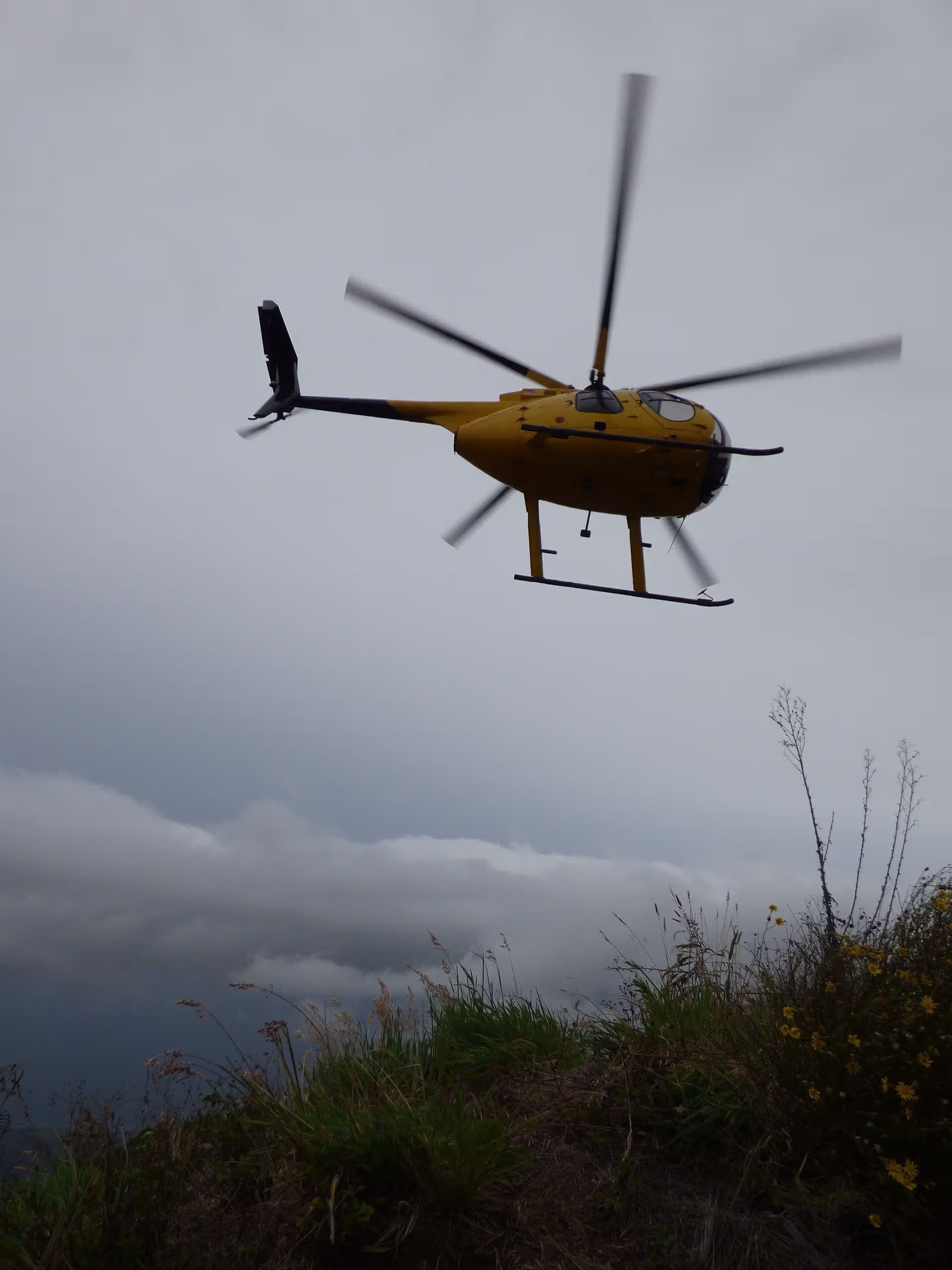 N809WA — Helicopter