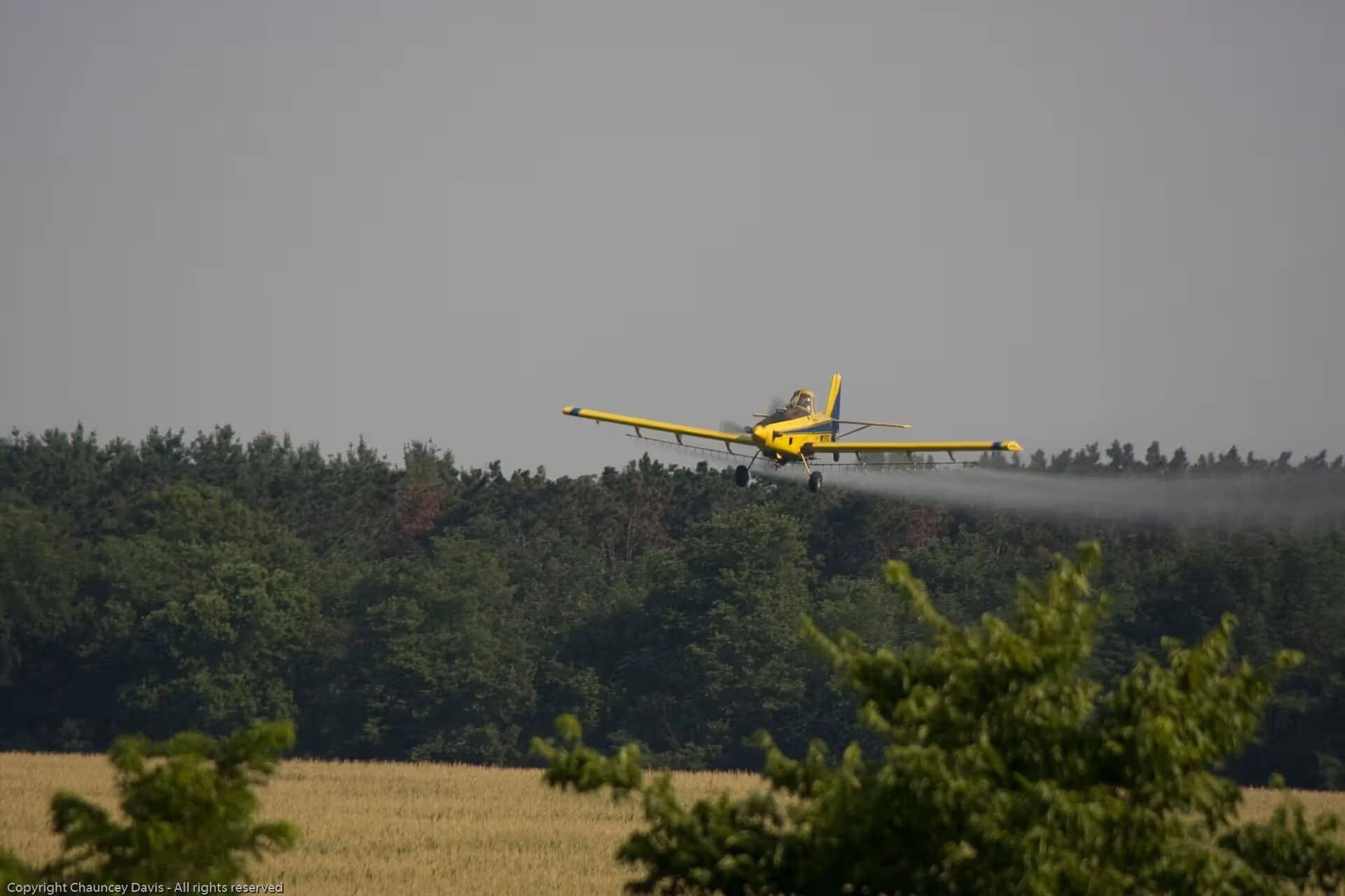 N1531G — Aircraft