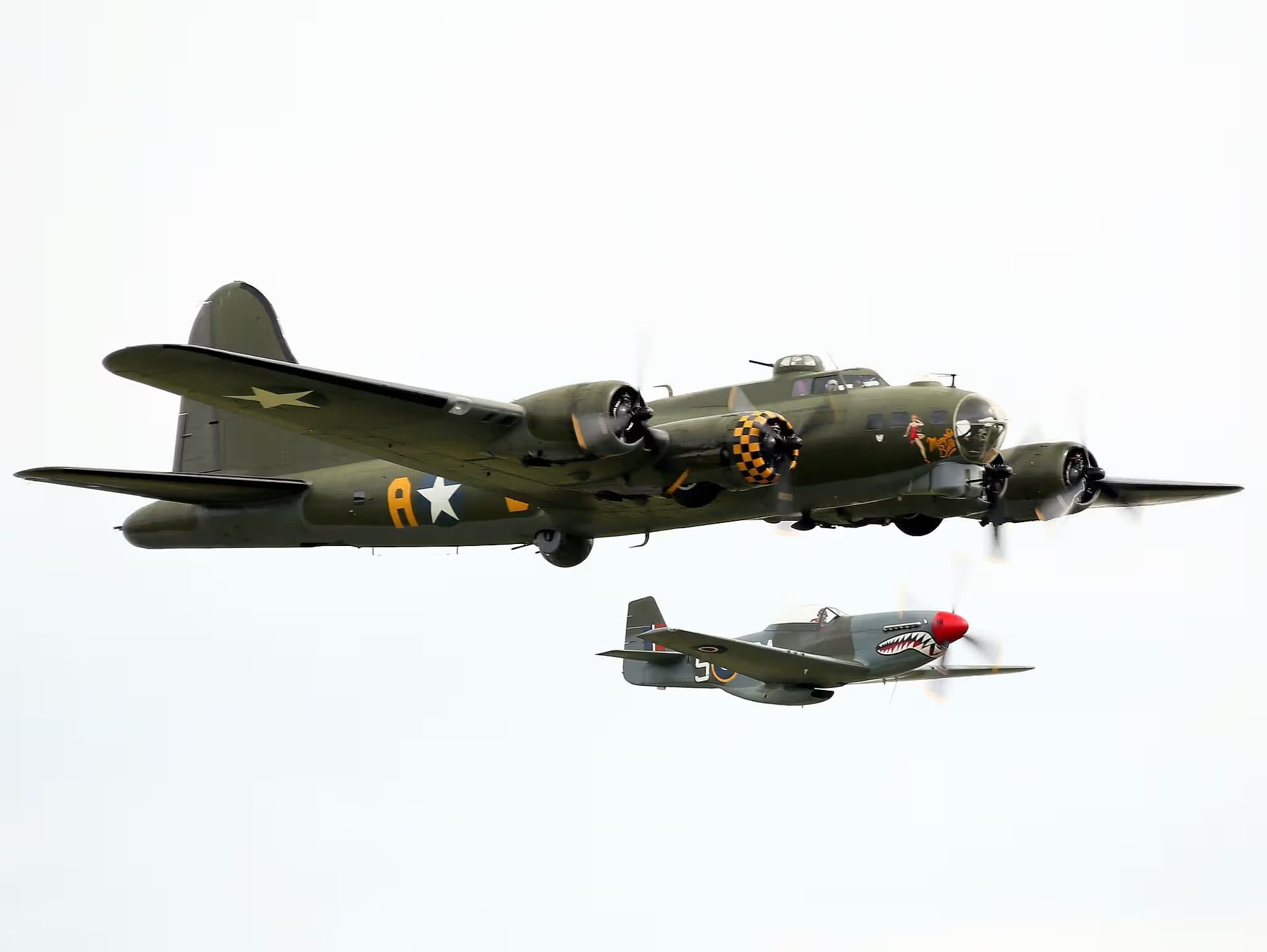 Unidentified — Warbird