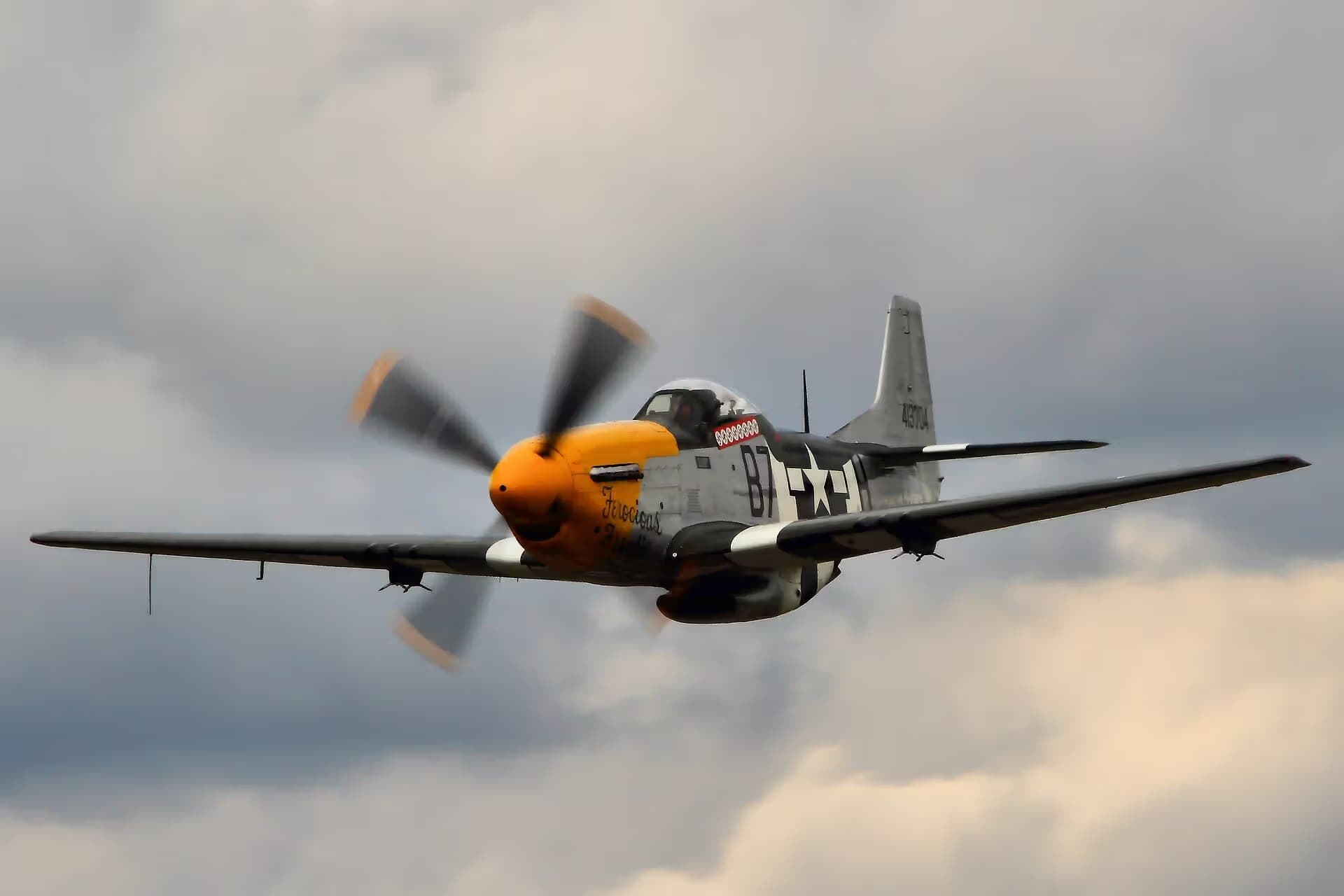 Unidentified — Warbird